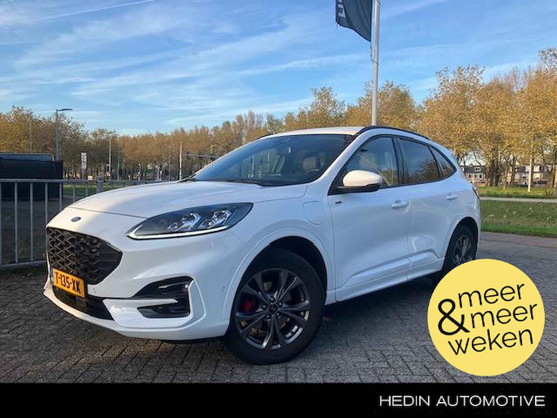 Ford Kuga BOVAG 40-Puntencheck