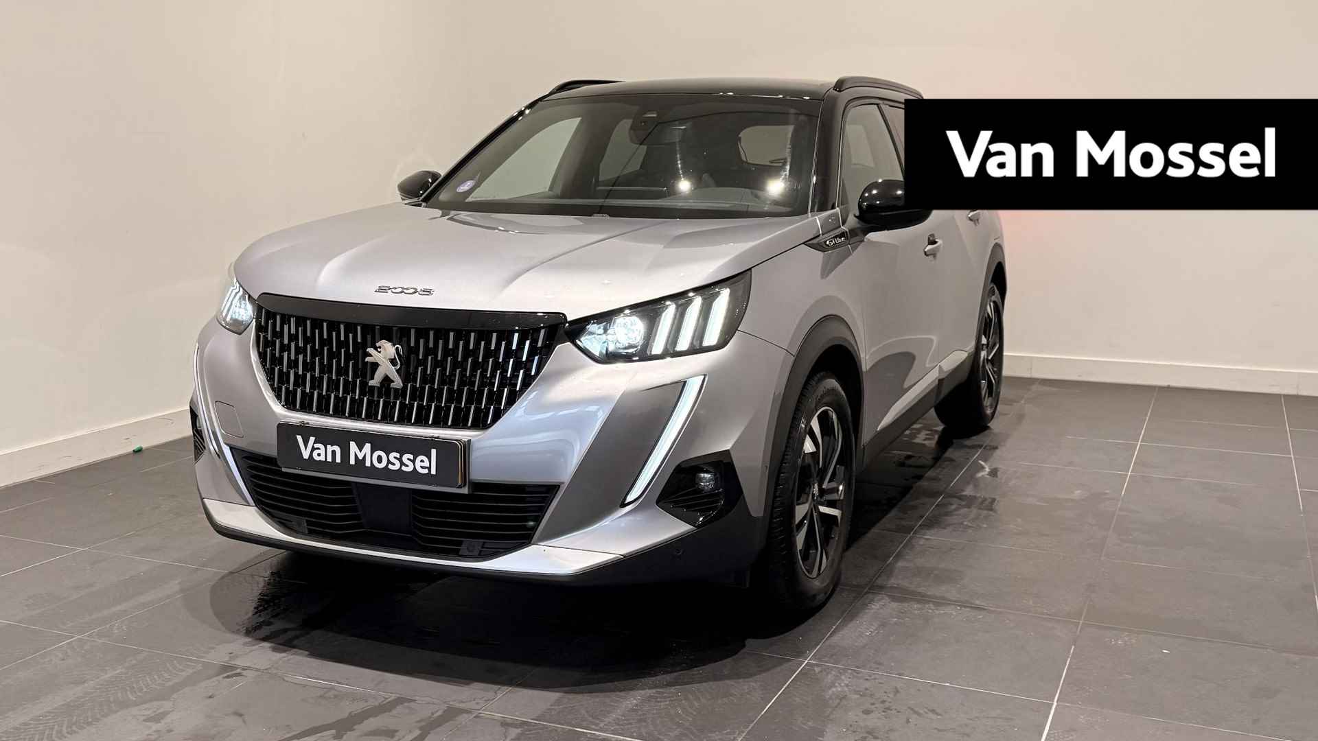 Peugeot 2008 BOVAG 40-Puntencheck