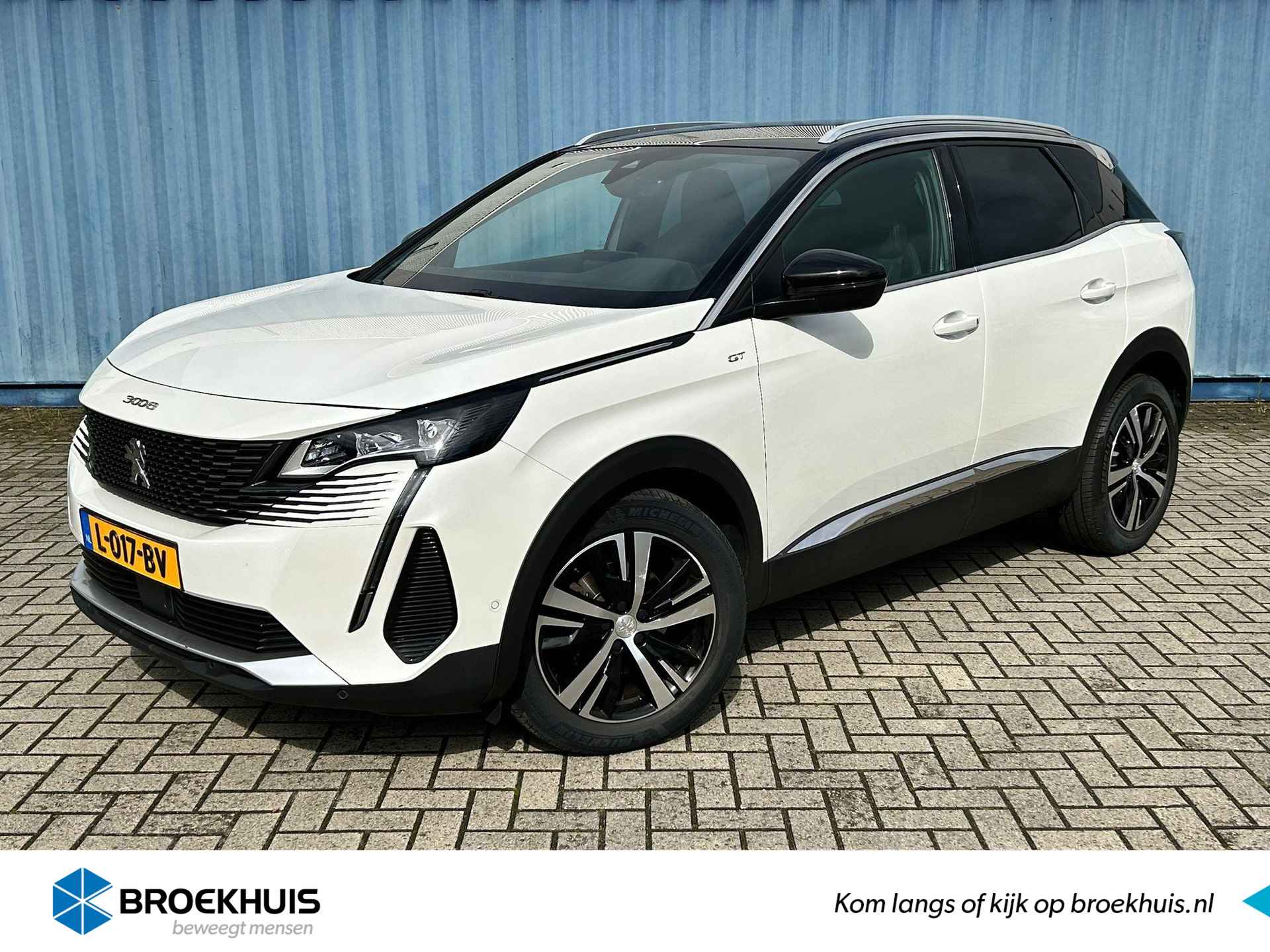 Peugeot 3008 BOVAG 40-Puntencheck