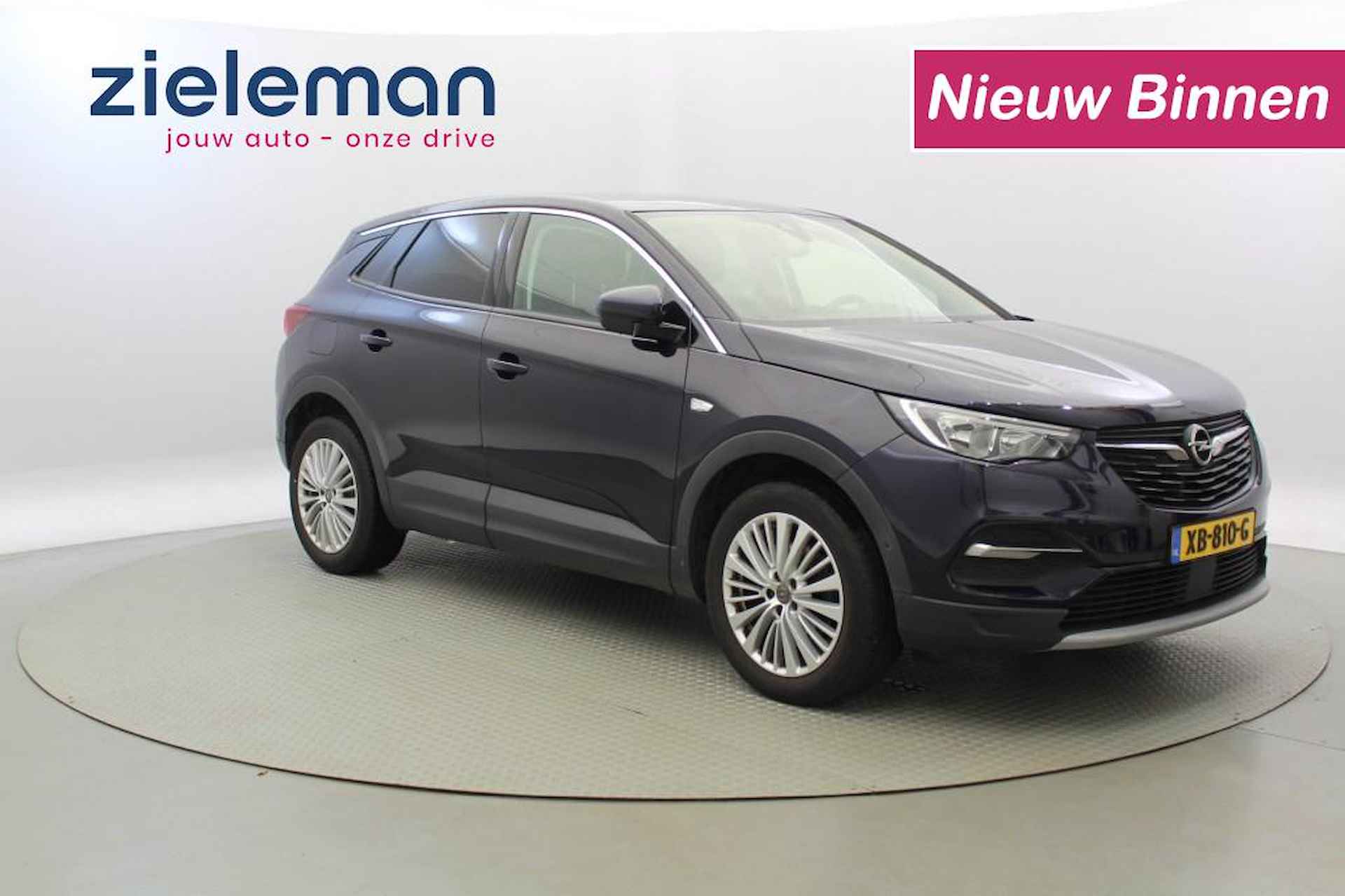 Opel Grandland X BOVAG 40-Puntencheck