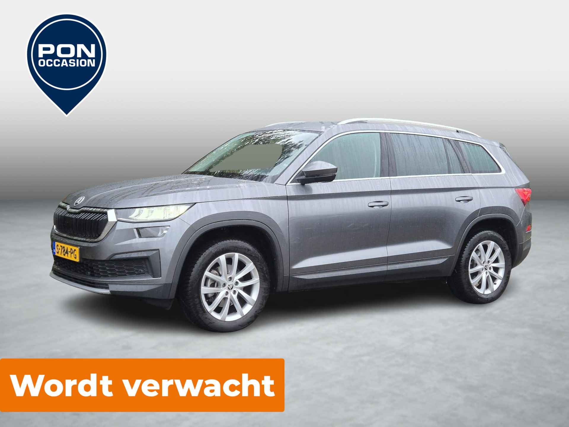 Škoda Kodiaq BOVAG 40-Puntencheck