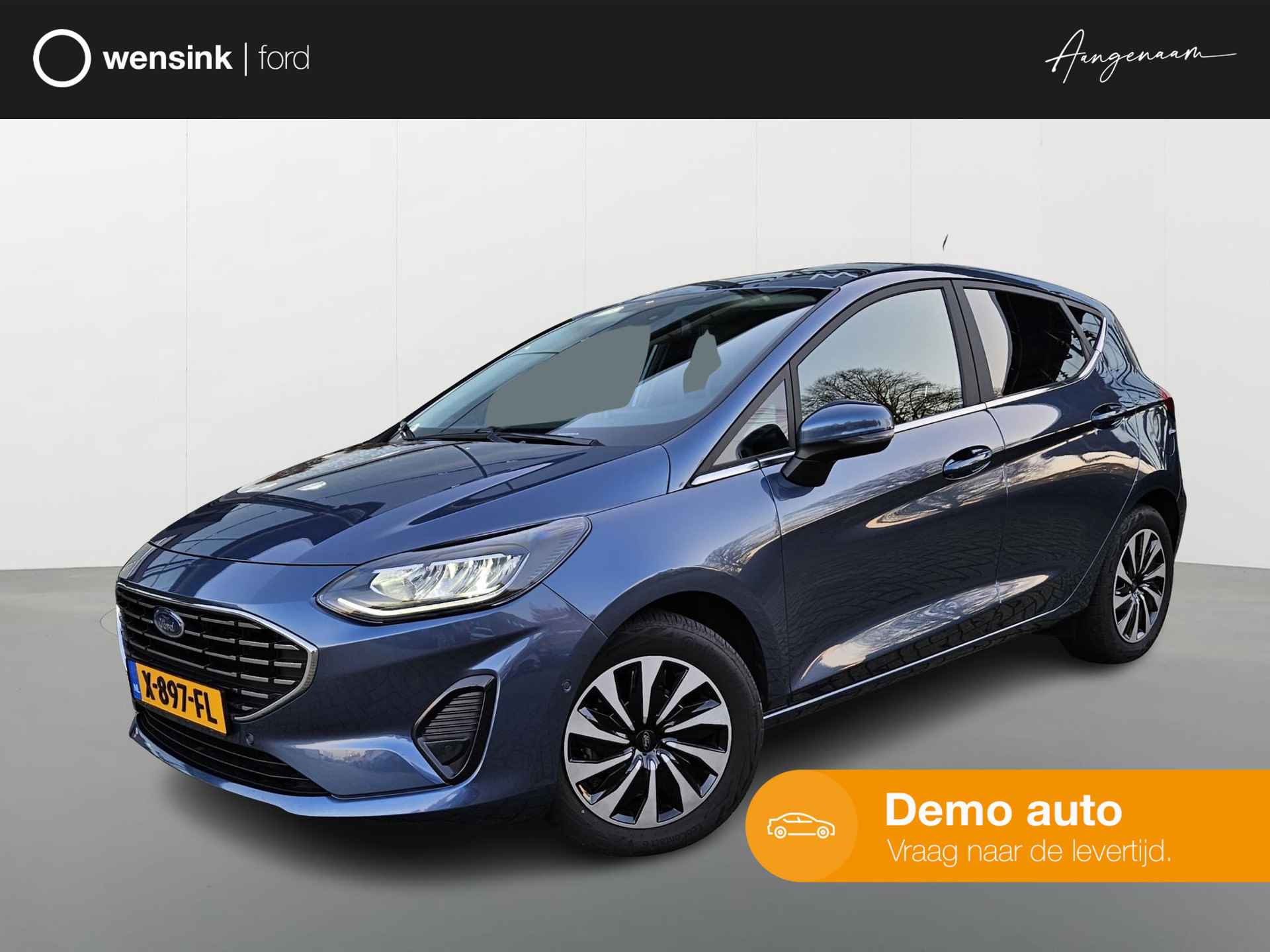 Ford Fiesta BOVAG 40-Puntencheck