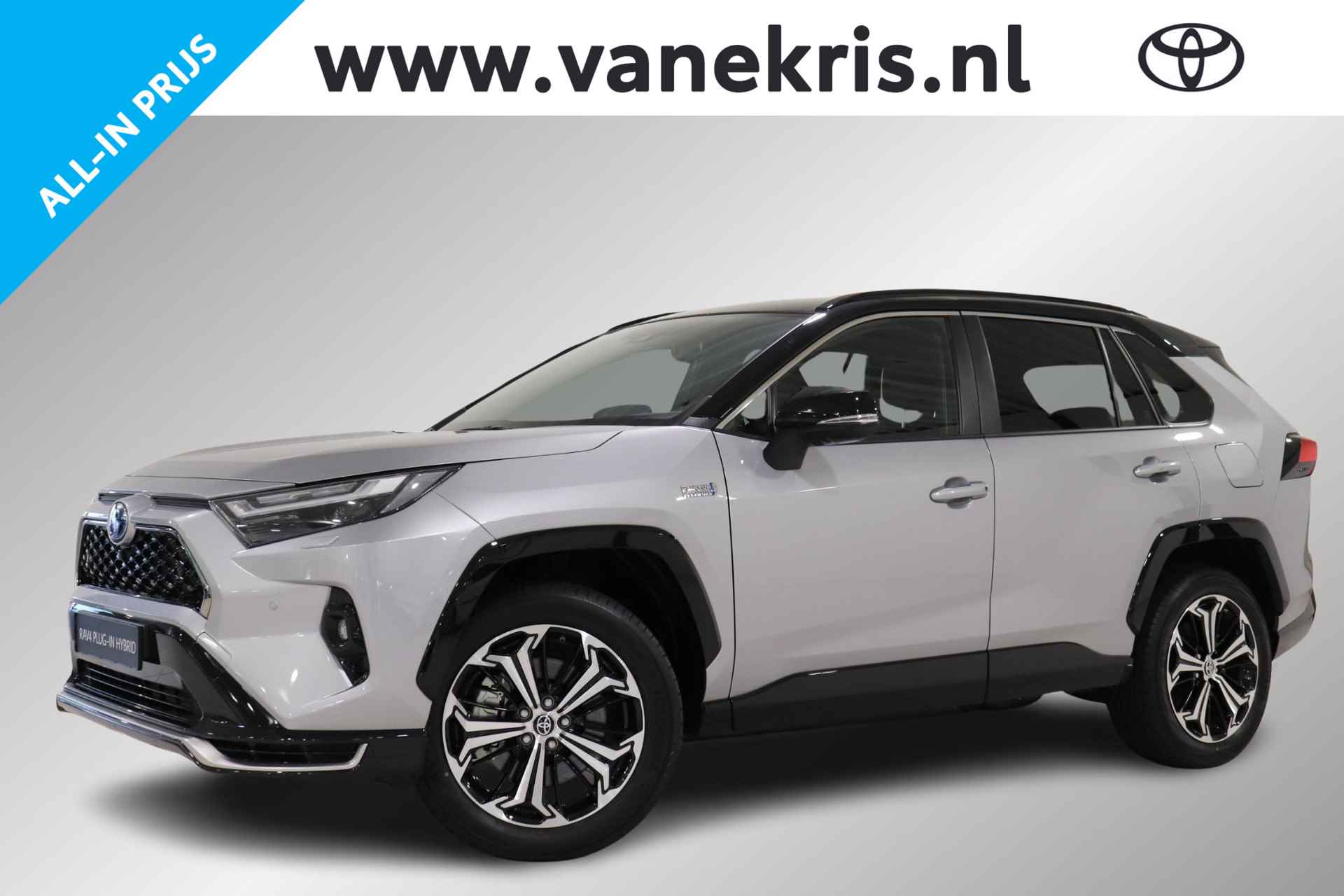 Toyota RAV4 BOVAG 40-Puntencheck