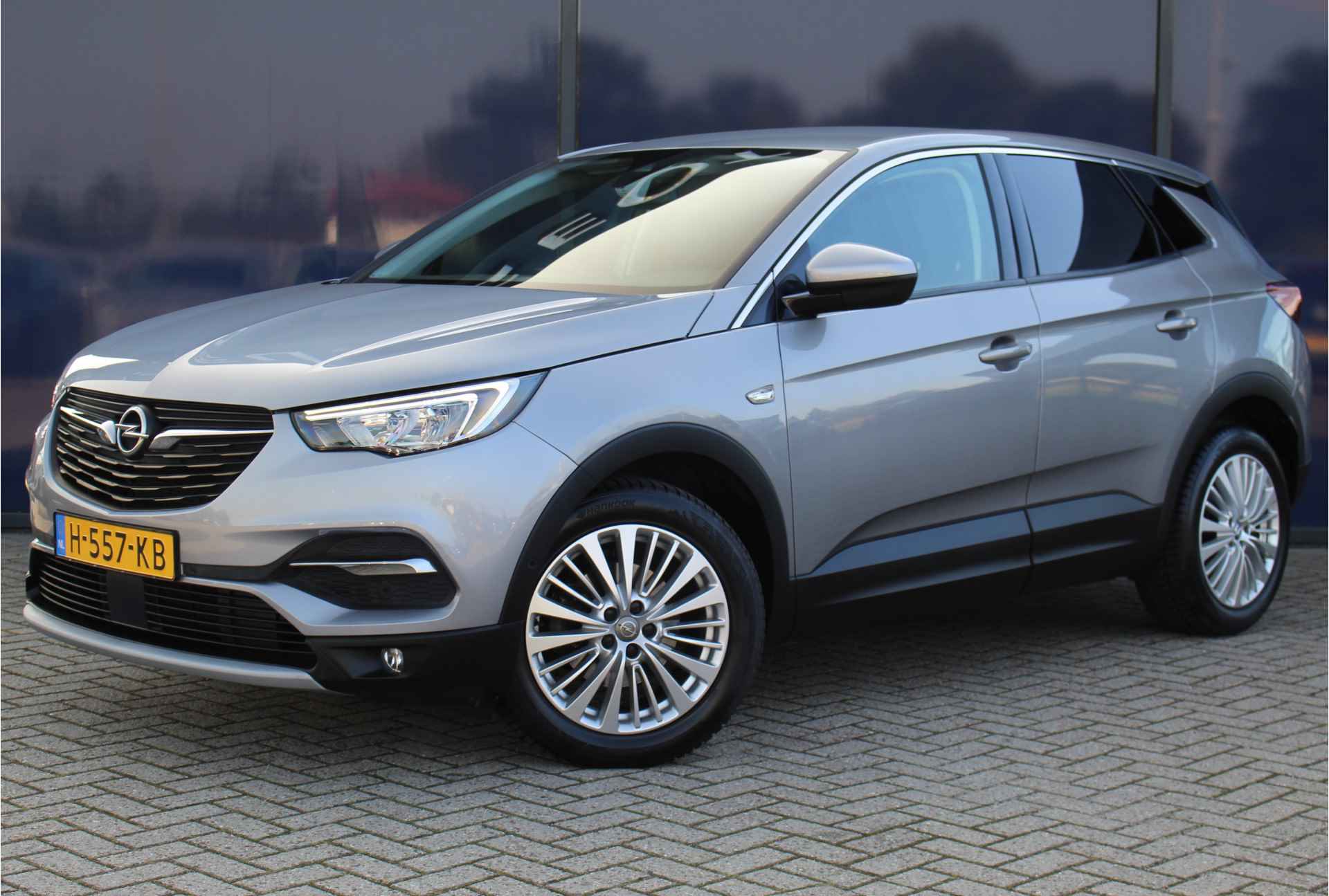 Opel Grandland X BOVAG 40-Puntencheck