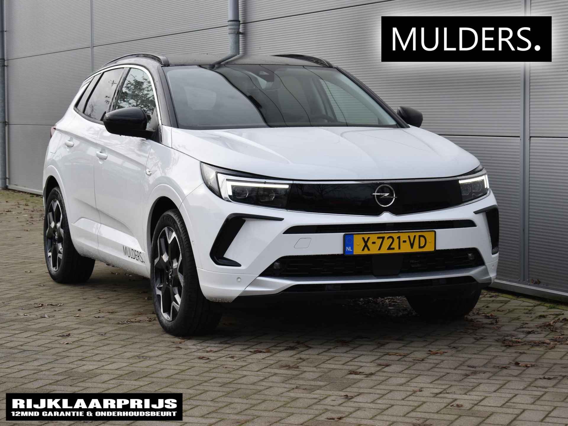 Opel Grandland X BOVAG 40-Puntencheck