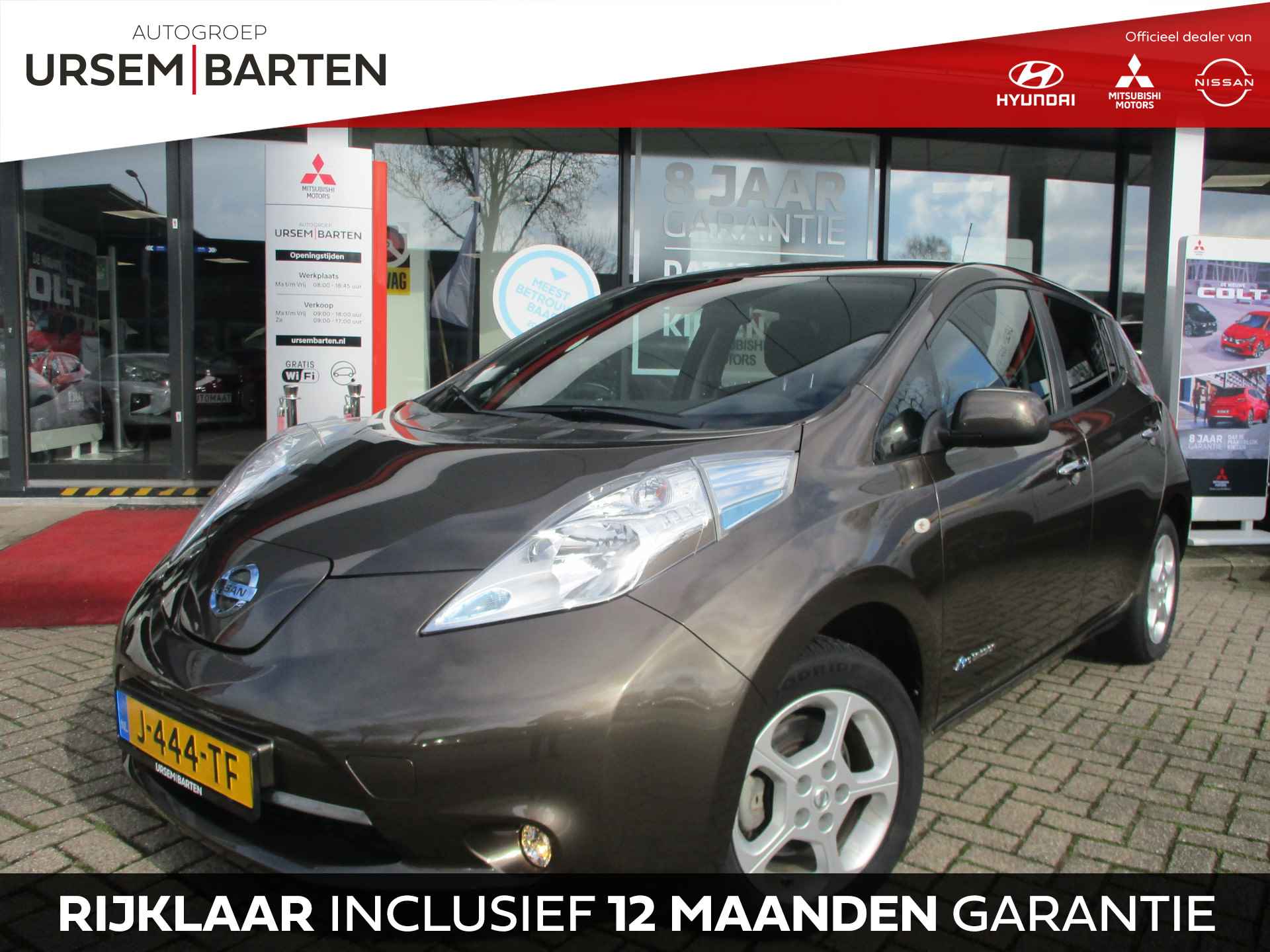 Nissan Leaf BOVAG 40-Puntencheck