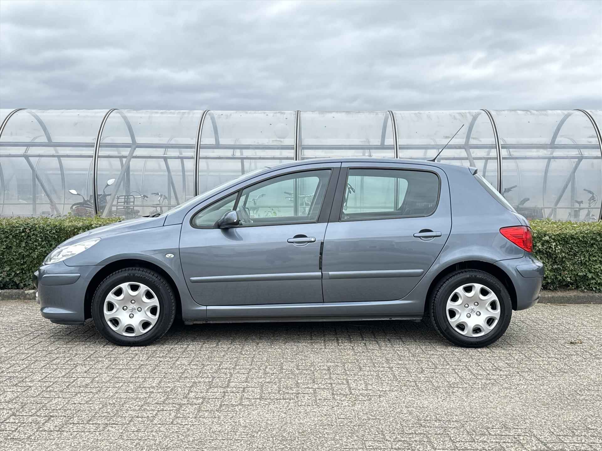 Peugeot 307 1.6 16V 110PK 5-drs xs - 4/18