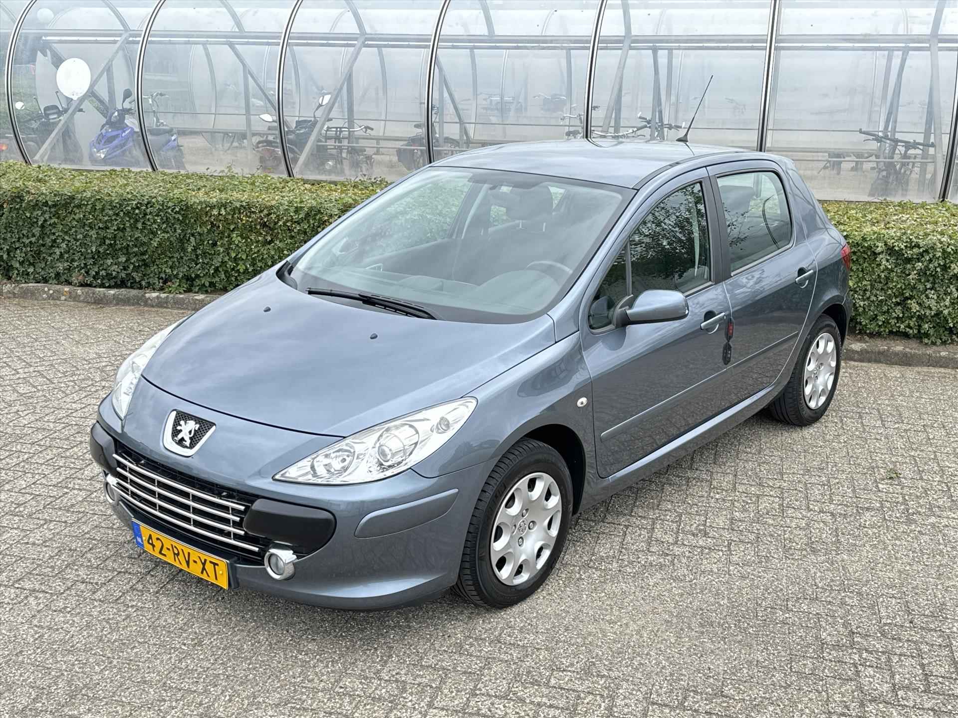 Peugeot 307 1.6 16V 110PK 5-drs xs - 8/18