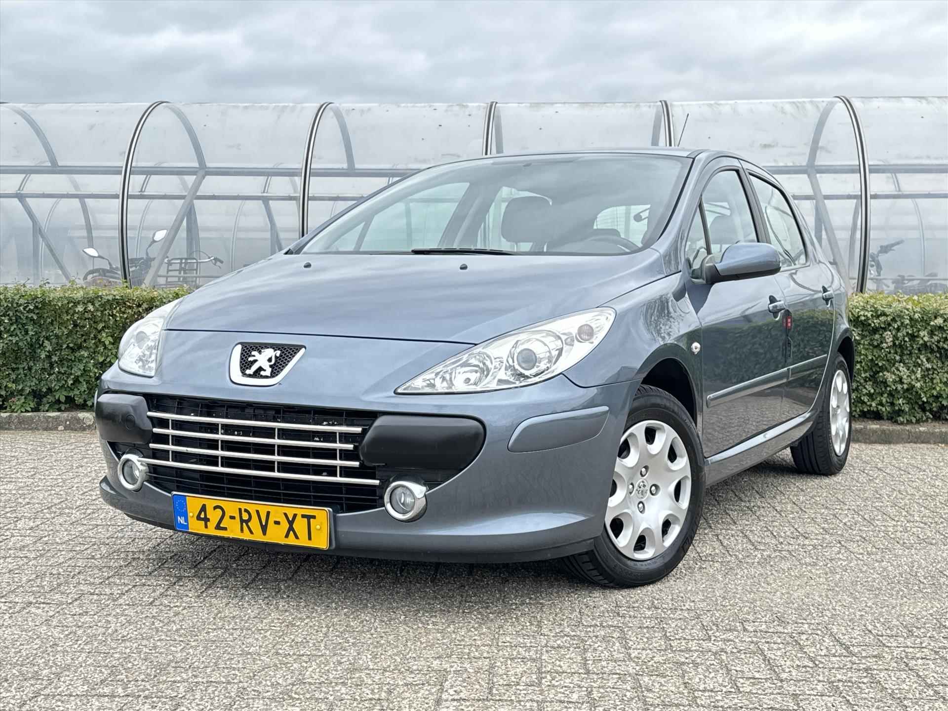 Peugeot 307 1.6 16V 110PK 5-drs xs - 14/18