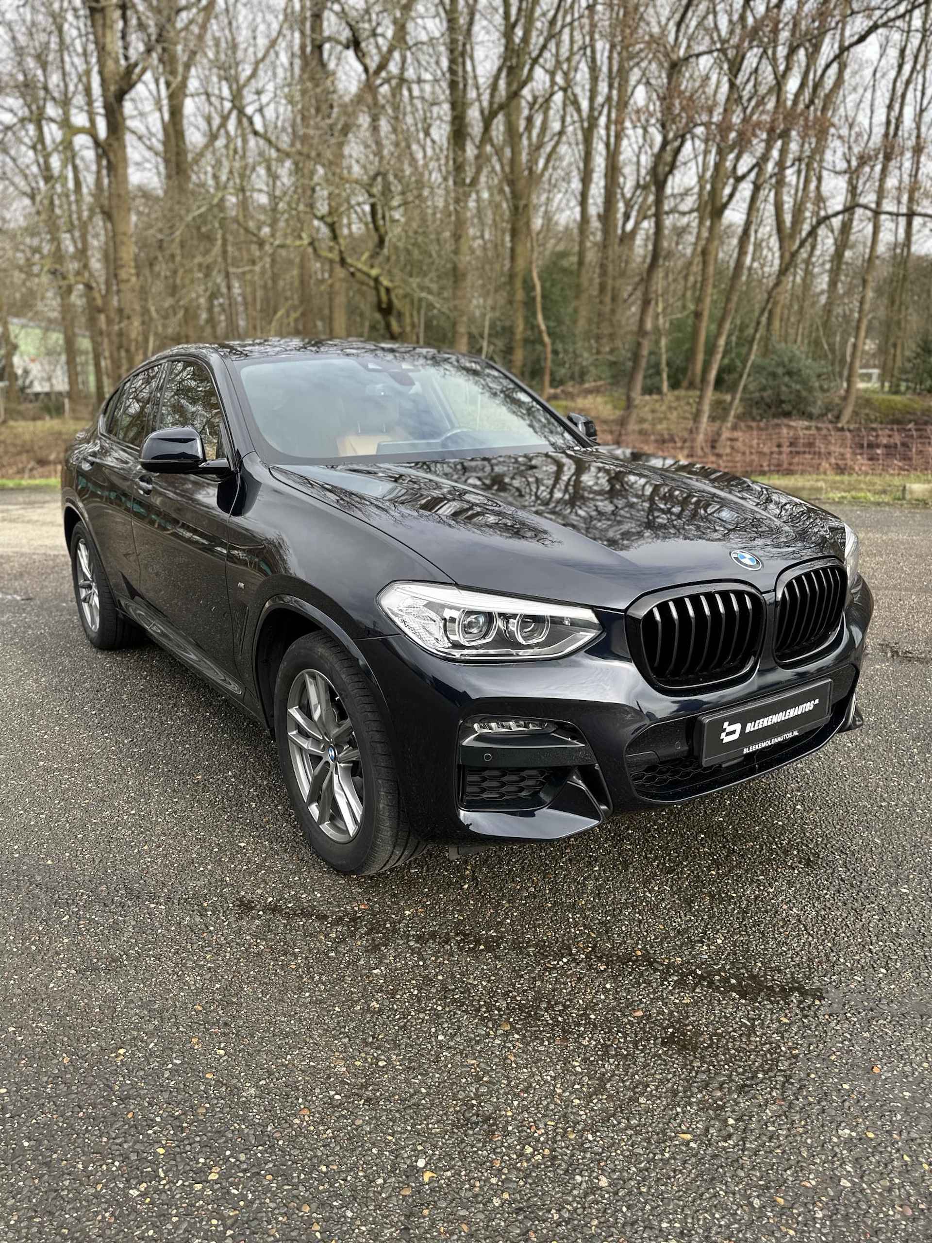 BMW X4 xDrive20i High Executive M-sport - 10/15