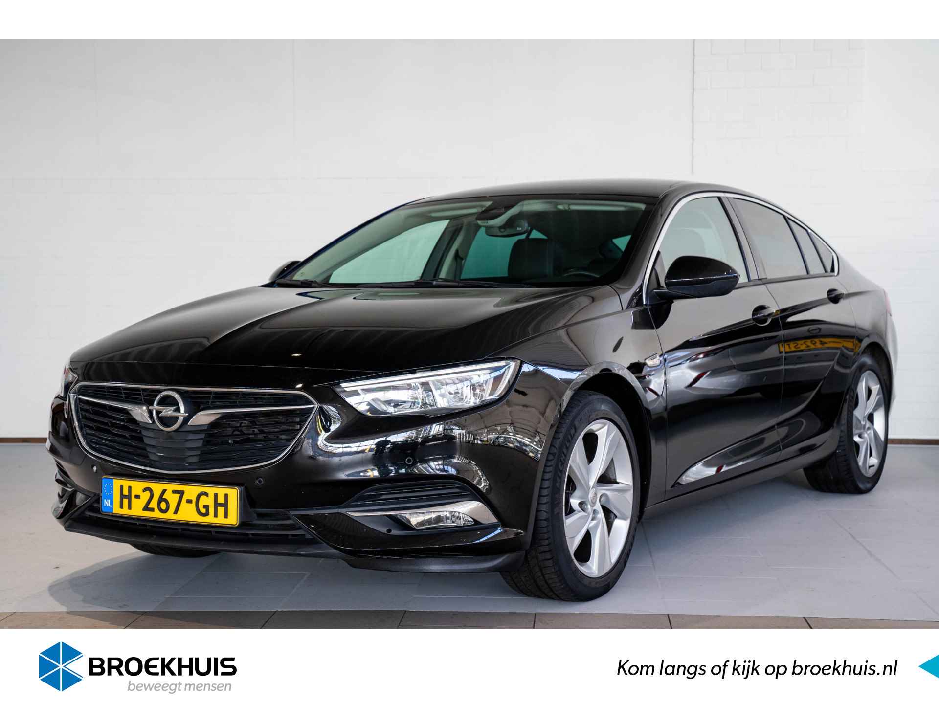 Opel Insignia BOVAG 40-Puntencheck