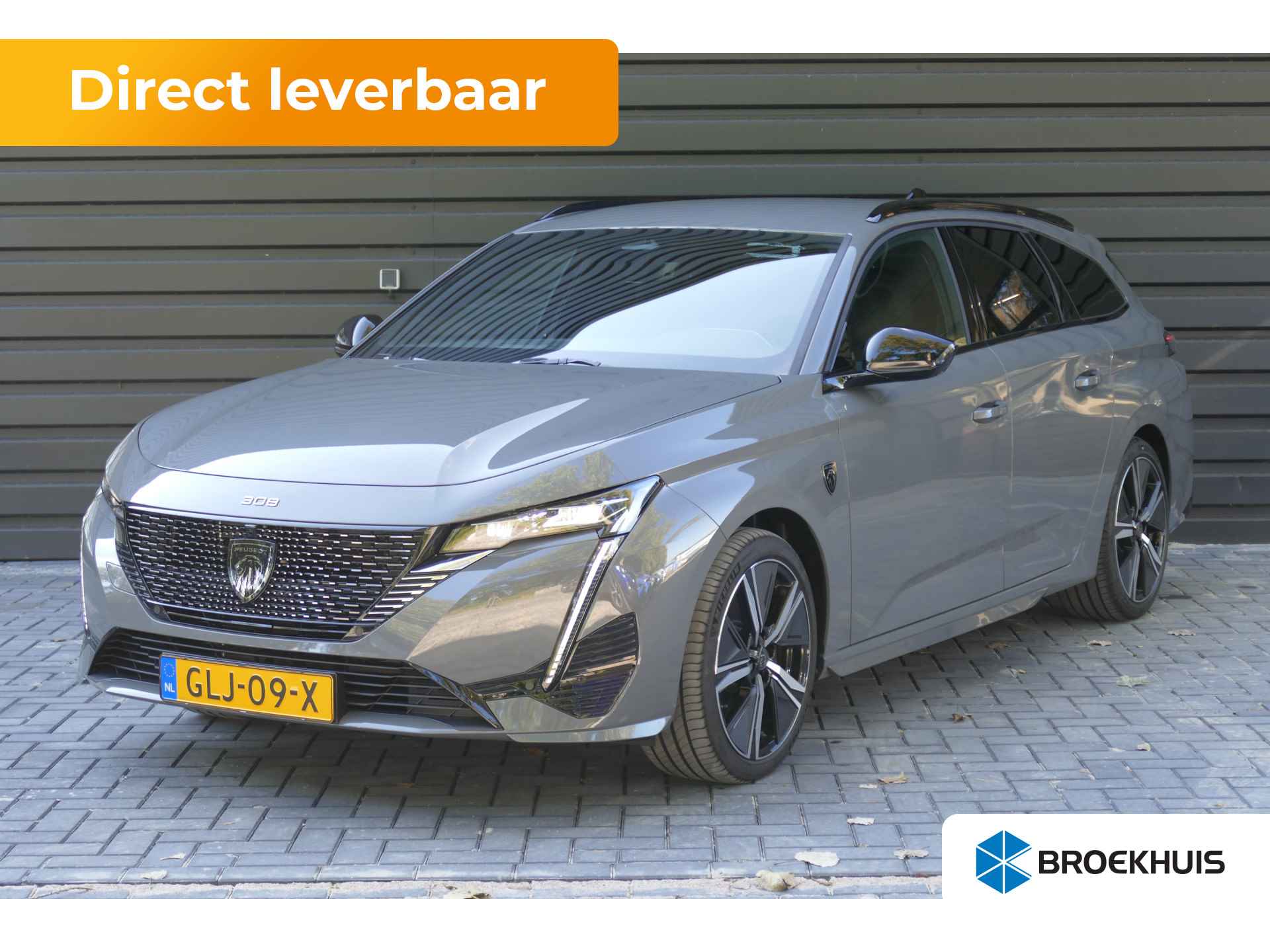 Peugeot 308 BOVAG 40-Puntencheck