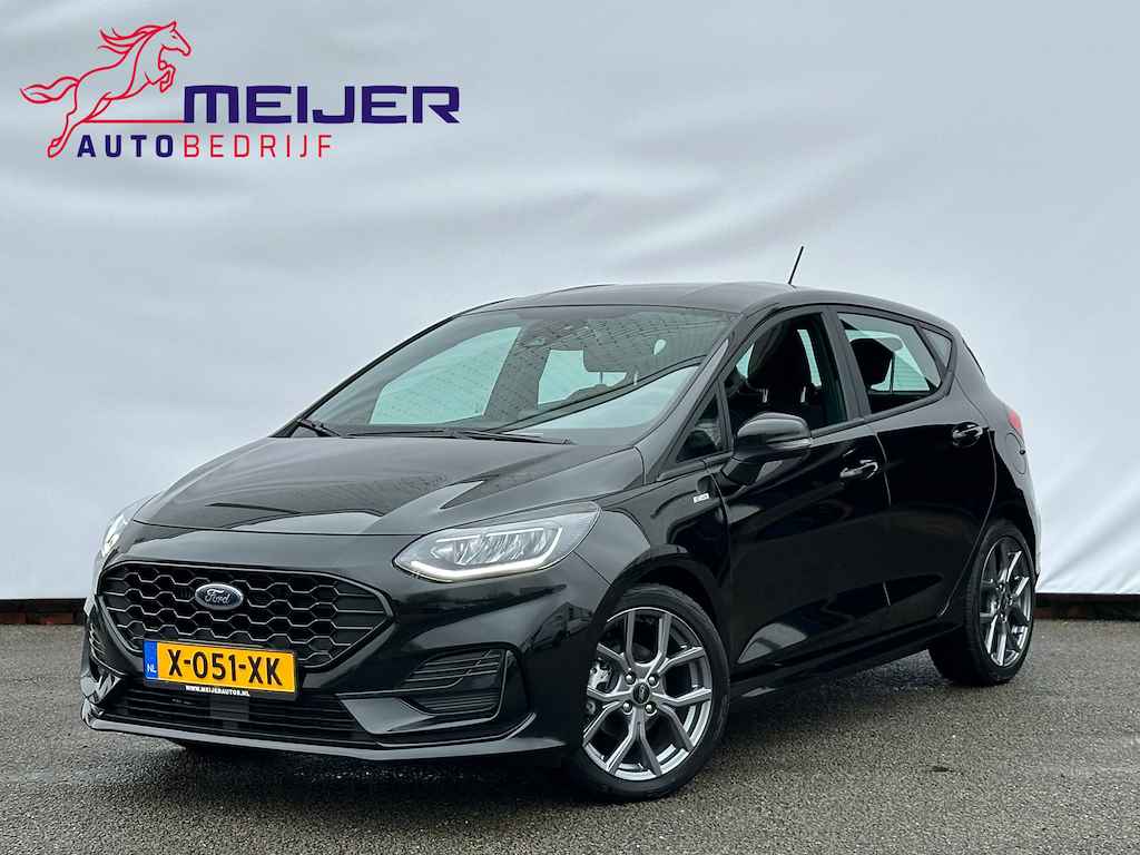 Ford Fiesta BOVAG 40-Puntencheck