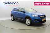 OPEL Grandland X 1.2 Turbo Business + Carplay, Trekhaak, Navi, Clima