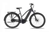 Advanced Ebike Das Original Trekking Pro 625Wh Rohloff E14 Beltdrive Mixed Dark Graphit - Black Matt 45cm 2023