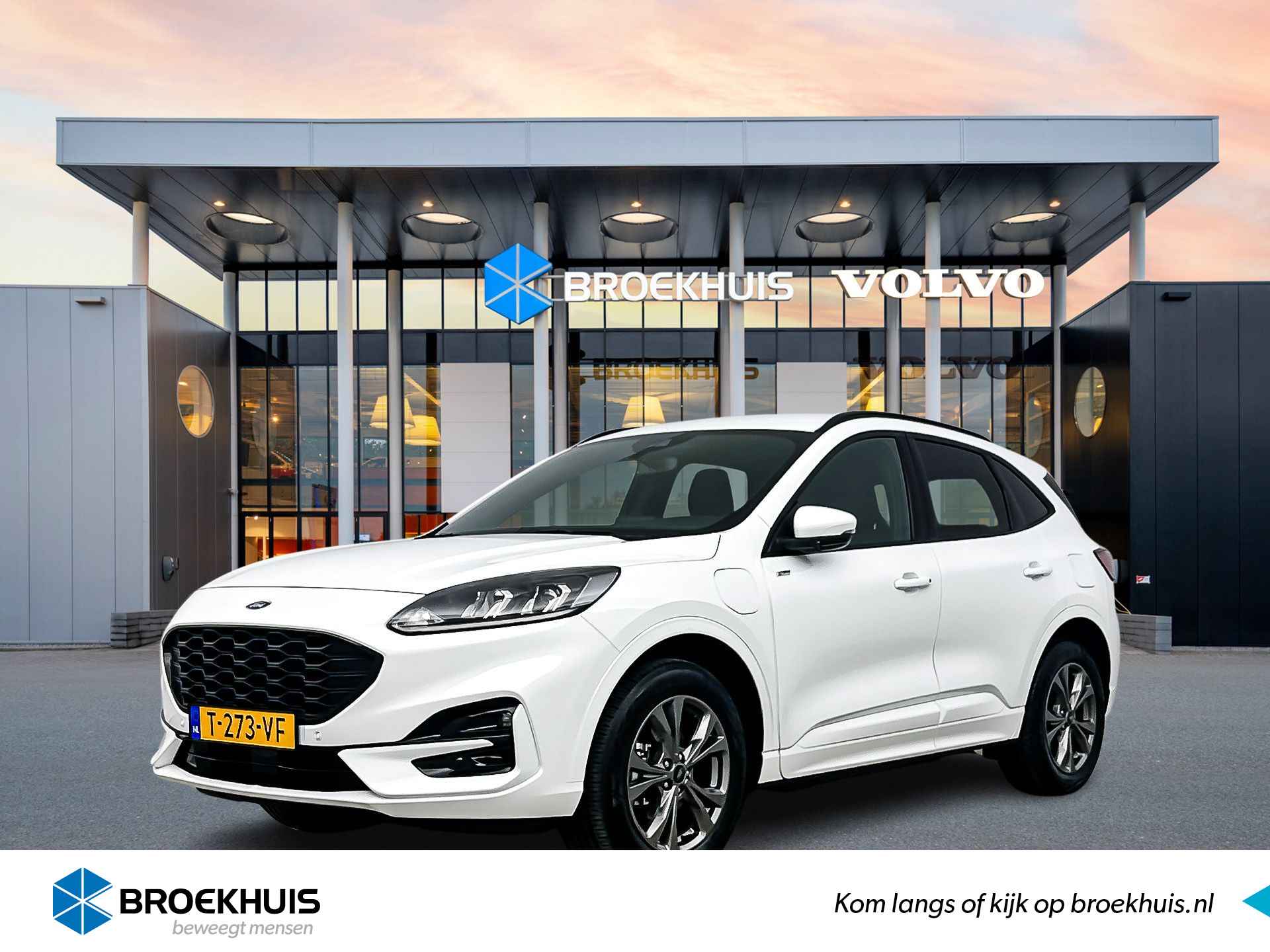 Ford Kuga BOVAG 40-Puntencheck