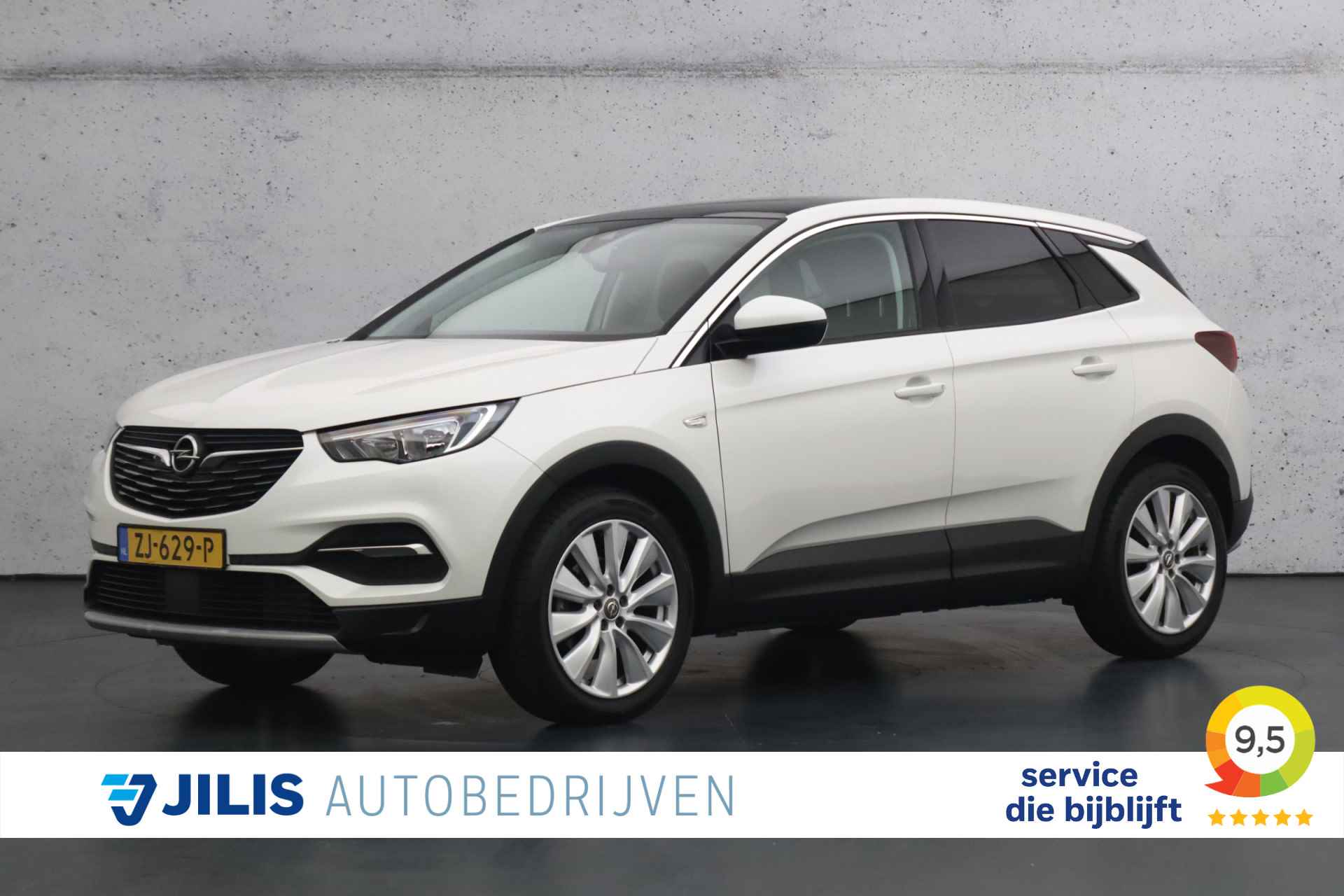 Opel Grandland X BOVAG 40-Puntencheck