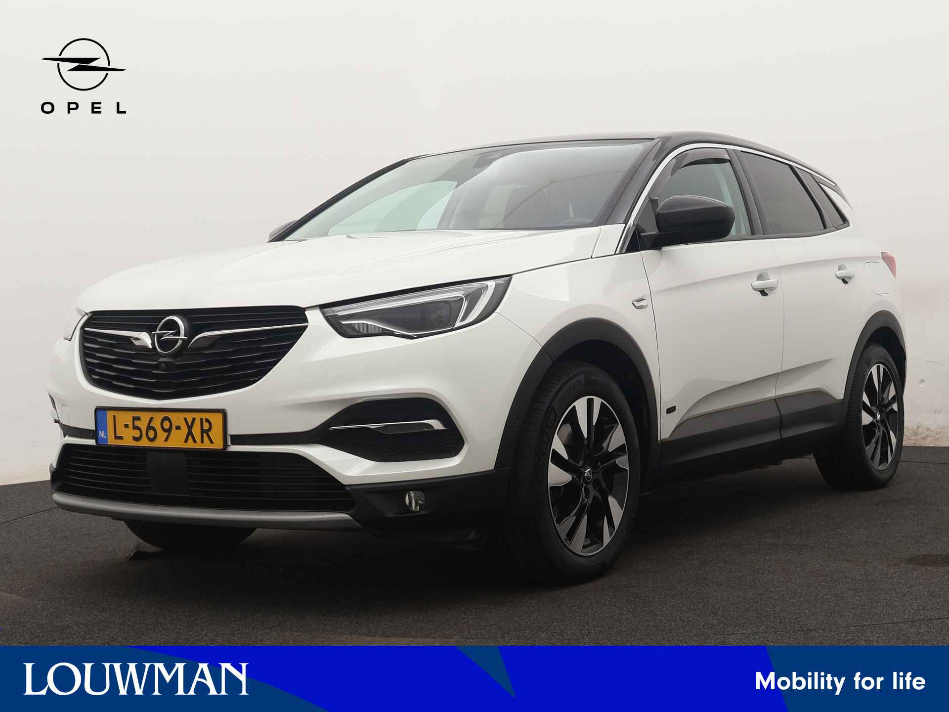 Opel Grandland X BOVAG 40-Puntencheck