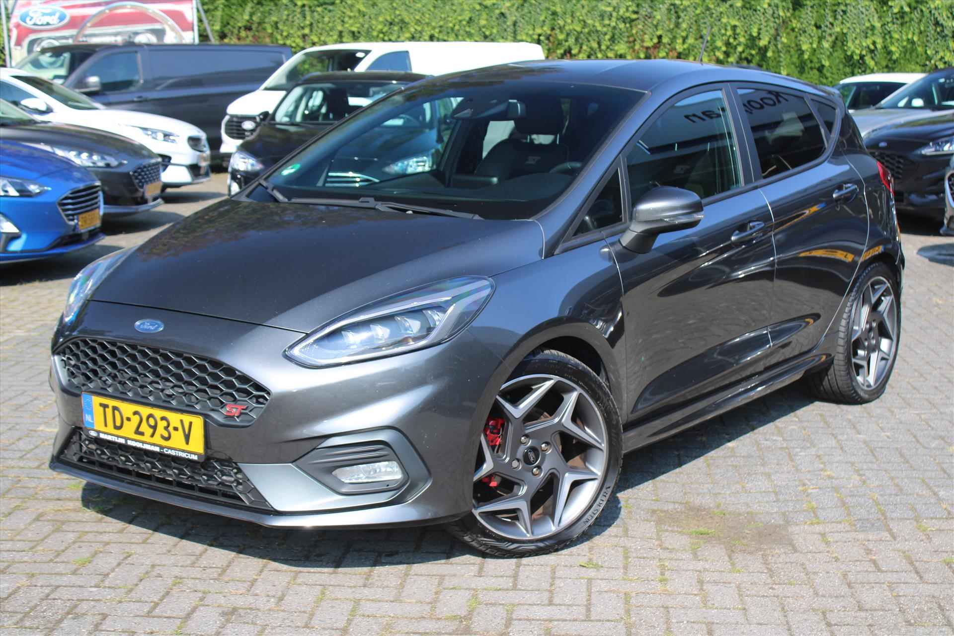 Ford Fiesta BOVAG 40-Puntencheck