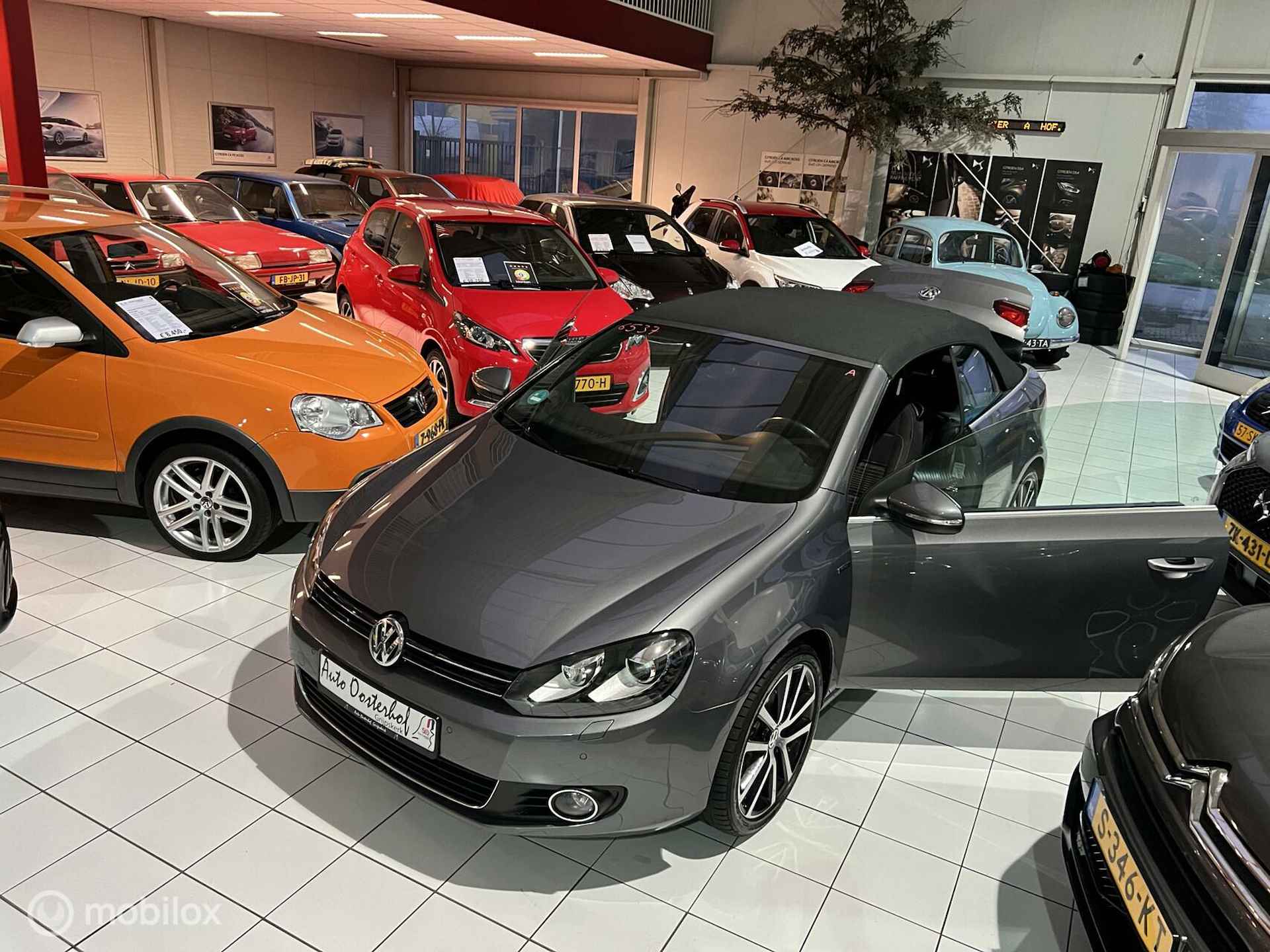 Volkswagen Golf Cabrio 105pk TSI - 13/16