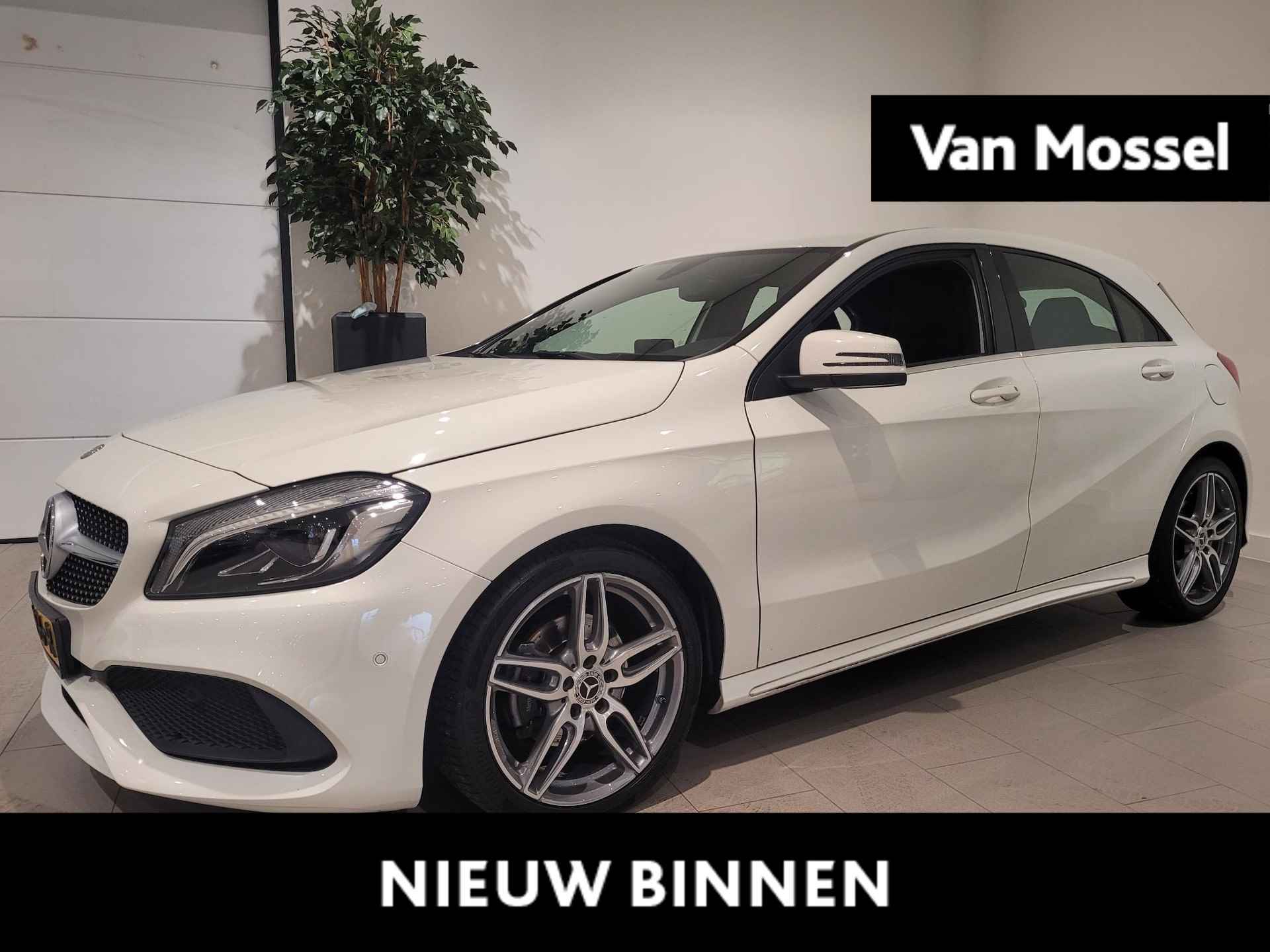 Mercedes-Benz A-Klasse BOVAG 40-Puntencheck