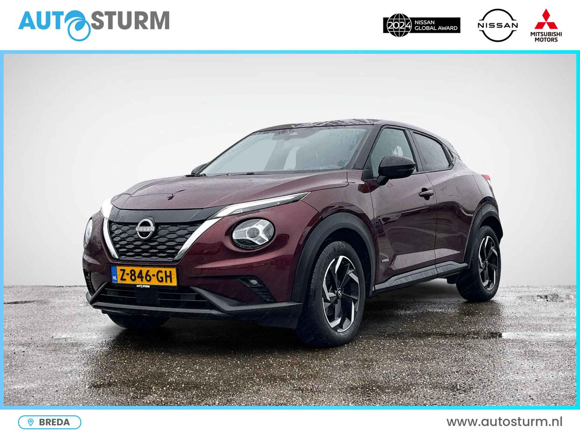 Nissan Juke BOVAG 40-Puntencheck