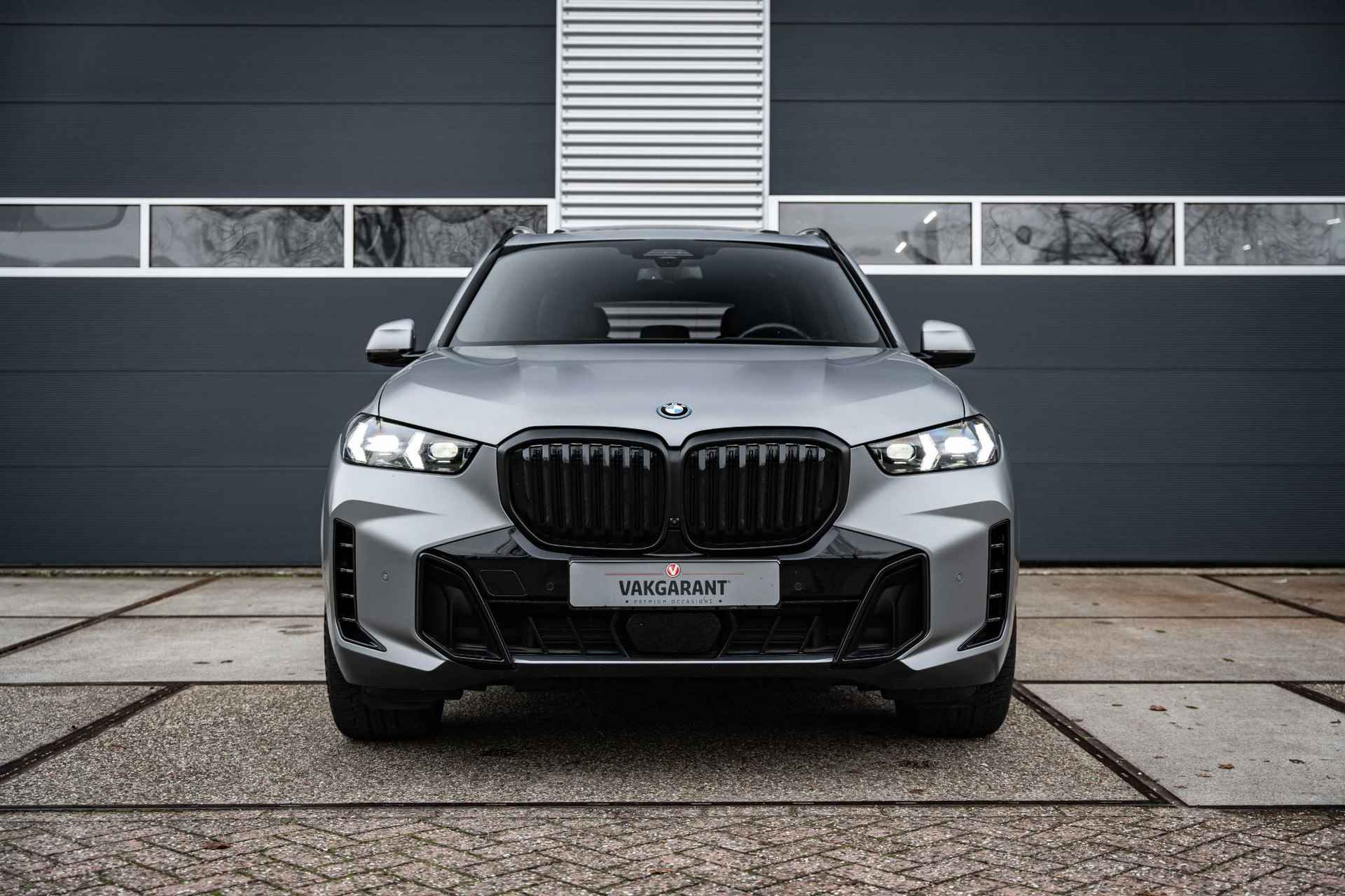 BMW X5 xDrive50e M Sport |Frozen Gray |Panorama dak|stoel ventilatie |BTW | Head-Up | Harman-Kardon | - 6/63