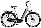 Vyber E1 PRO D49 520Wh Dames Art Grey 49cm 2025