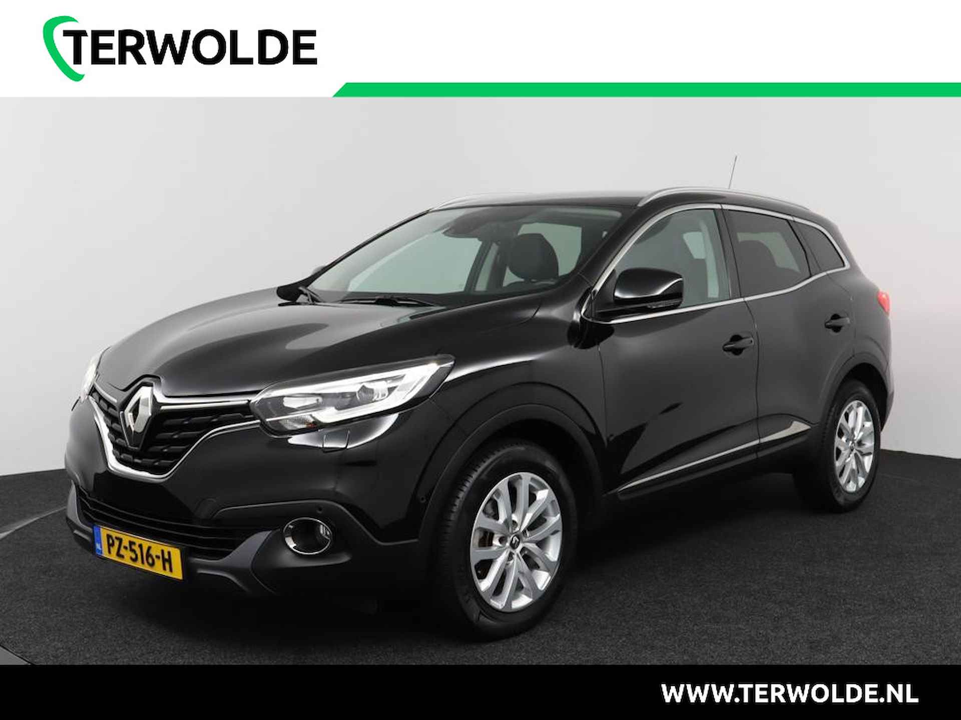 Renault Kadjar BOVAG 40-Puntencheck