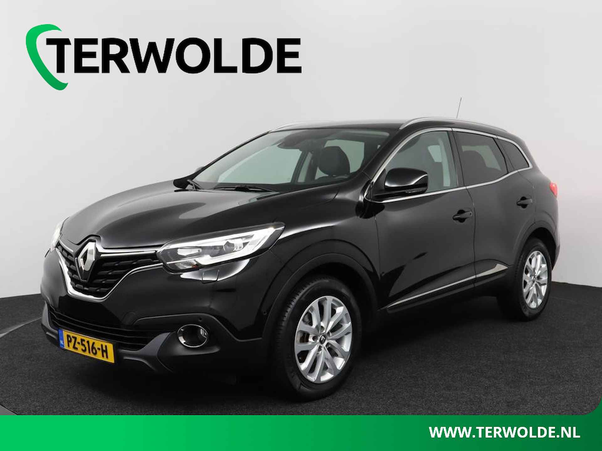 Renault Kadjar BOVAG 40-Puntencheck