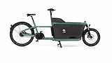 Carqon Cruise incl. 500Wh accu Petrol 52cm 2024