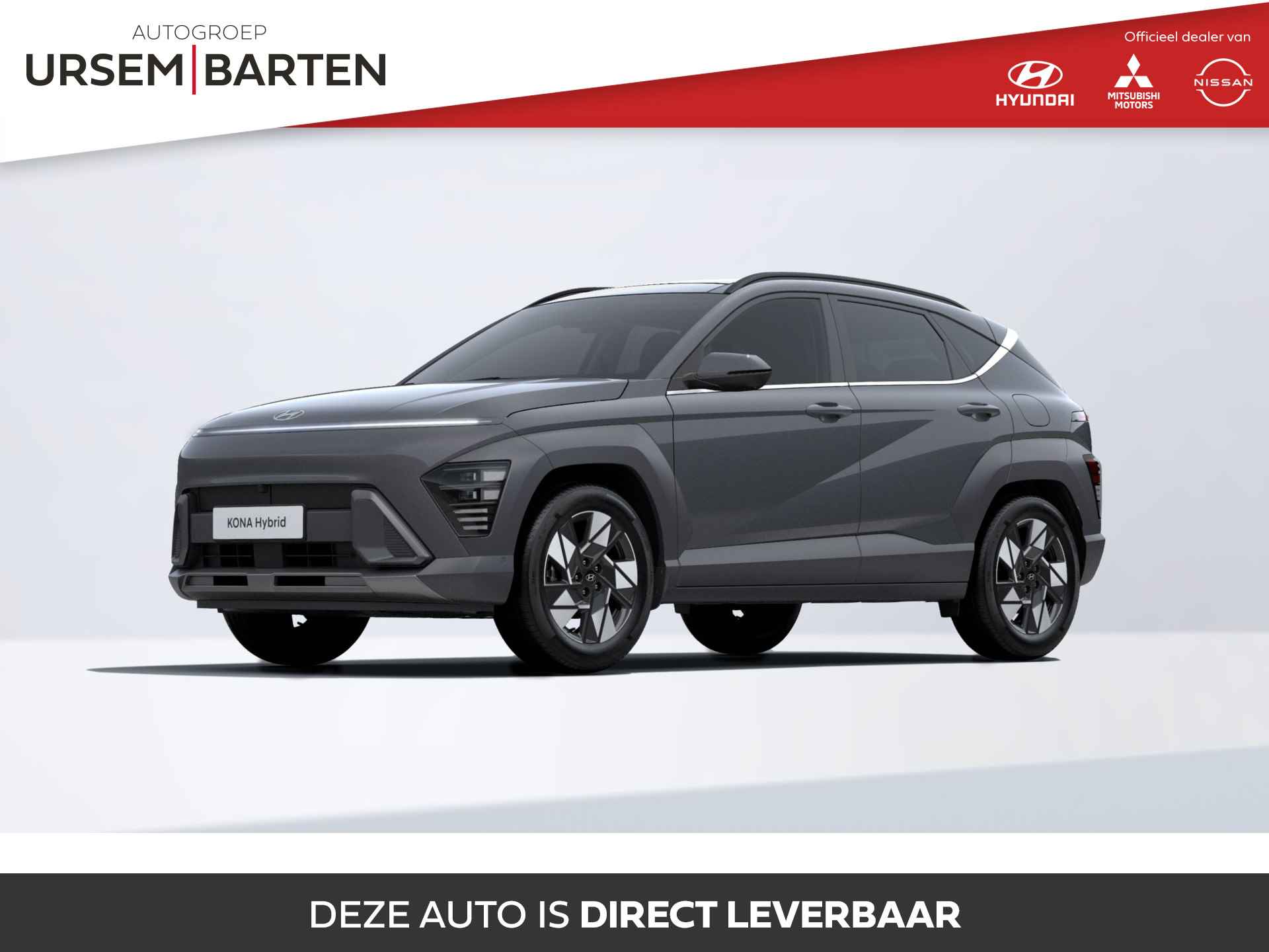 Hyundai Kona BOVAG 40-Puntencheck