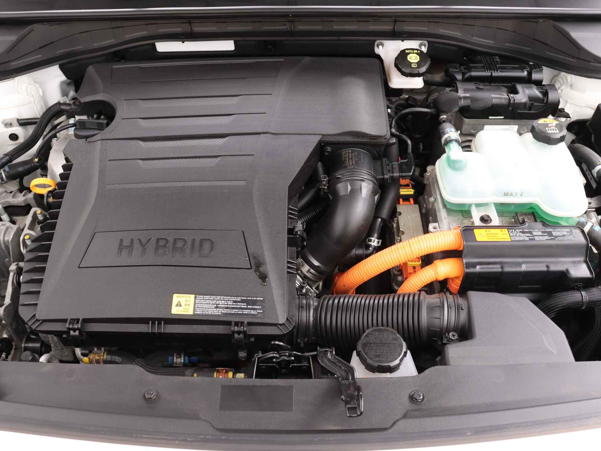 Kia Niro 1.6 GDi Hybrid BusinessLine | Camera | Lederen Bekleding | Stoel-/Stuurverwarming | Luxe auto | Keyless | Navigatie | Trekhaak | - 41/45