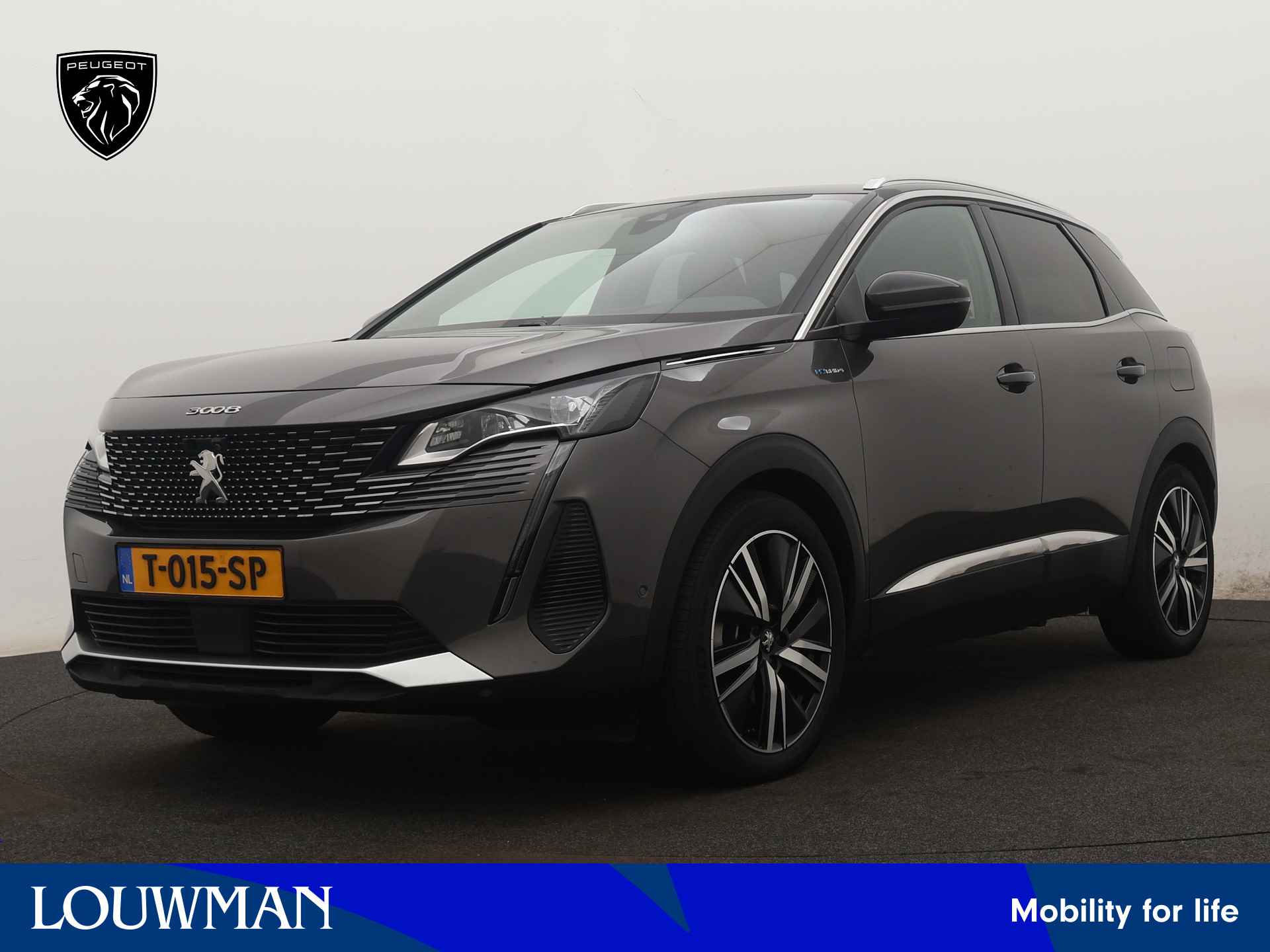 Peugeot 3008 BOVAG 40-Puntencheck