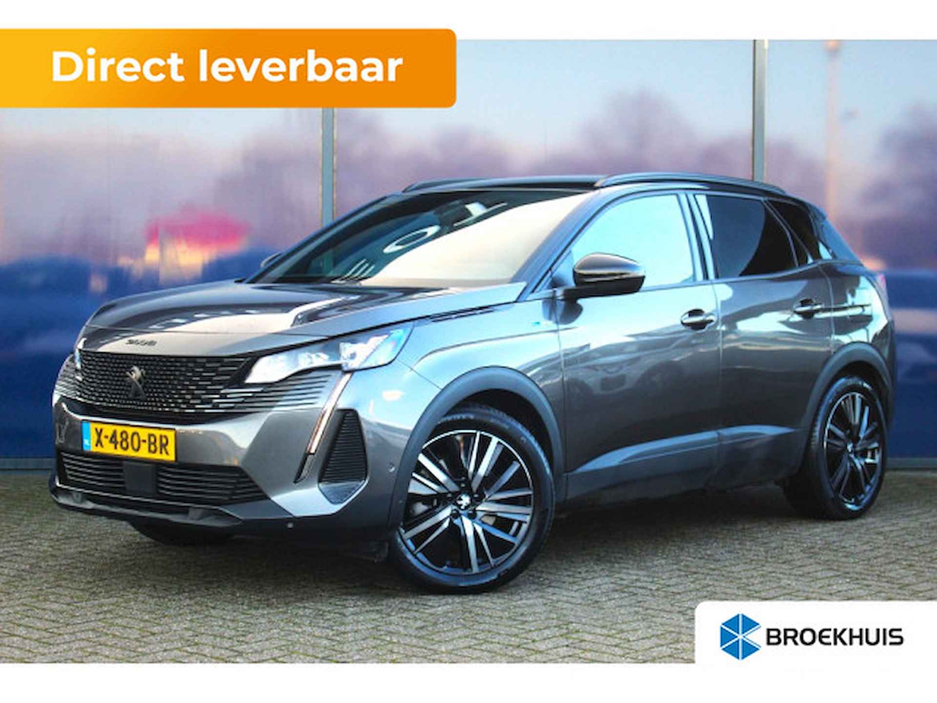 Peugeot 3008 BOVAG 40-Puntencheck