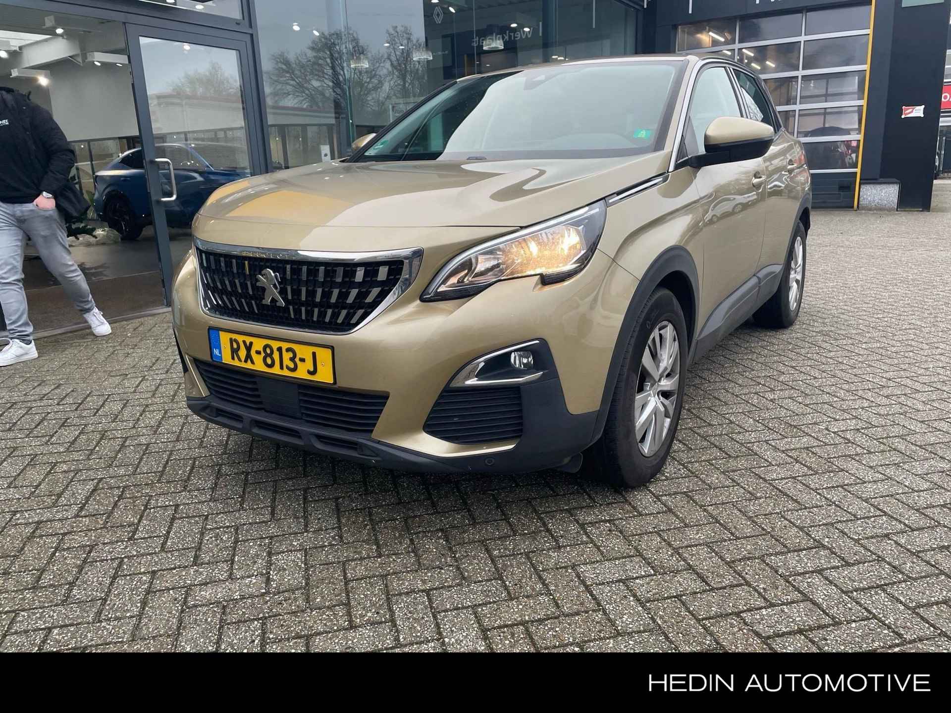 Peugeot 3008 BOVAG 40-Puntencheck