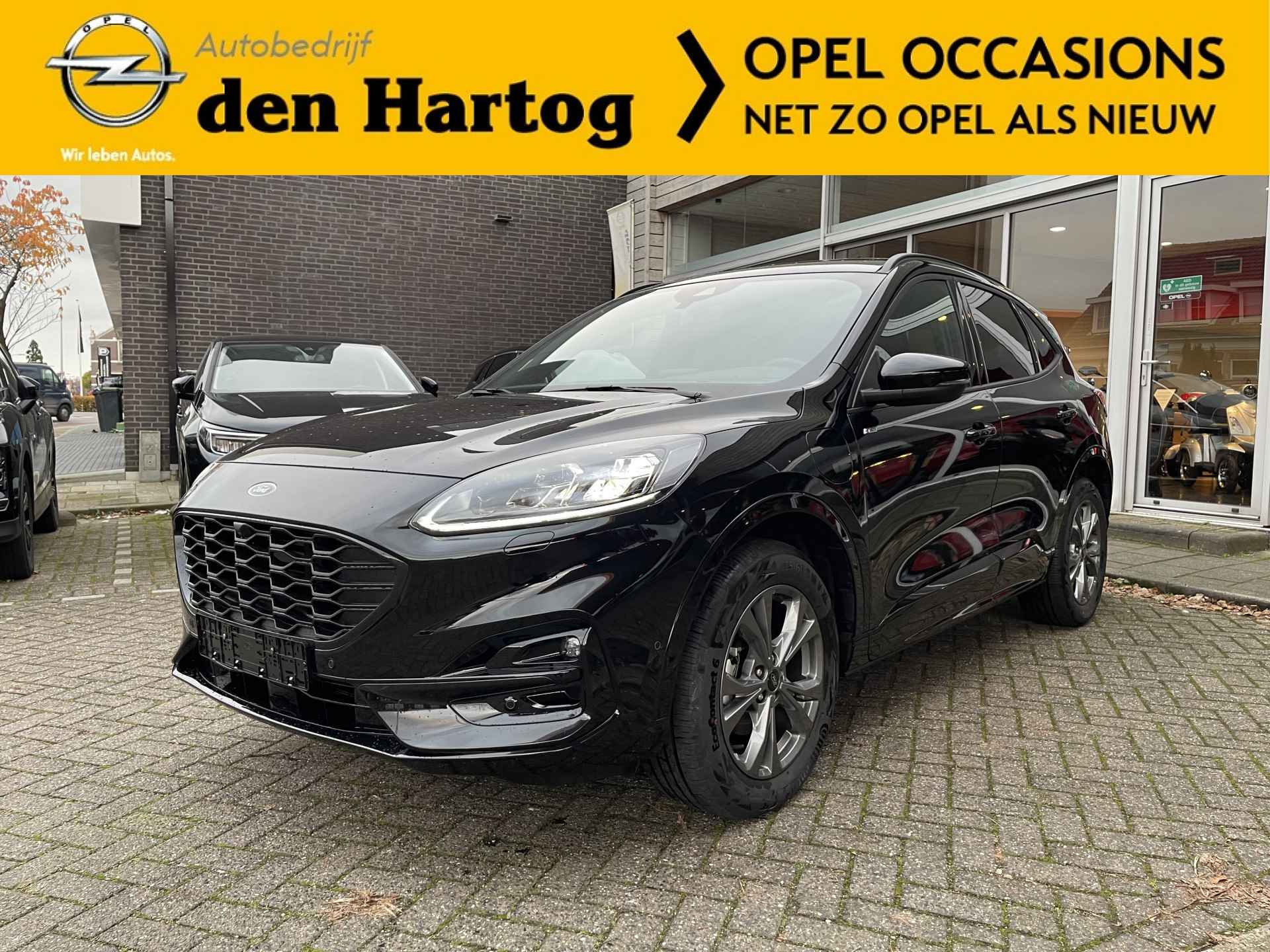 Ford Kuga BOVAG 40-Puntencheck