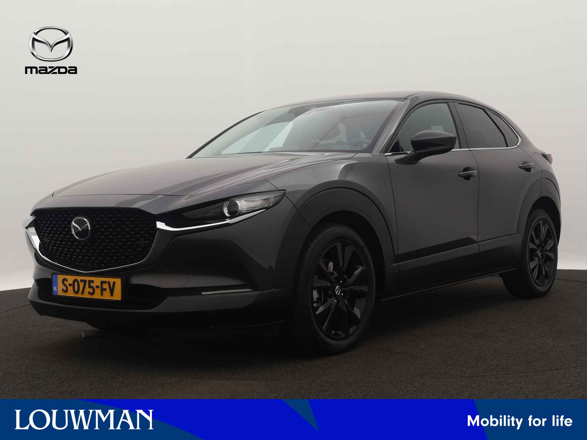 Mazda CX-30 BOVAG 40-Puntencheck