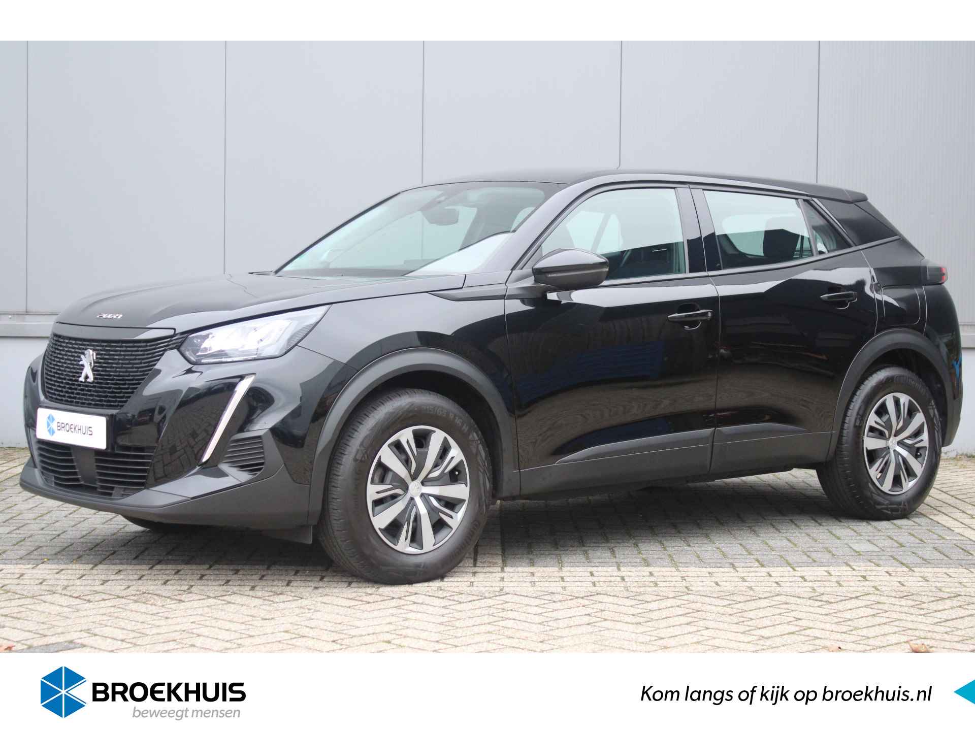 Peugeot 2008 BOVAG 40-Puntencheck