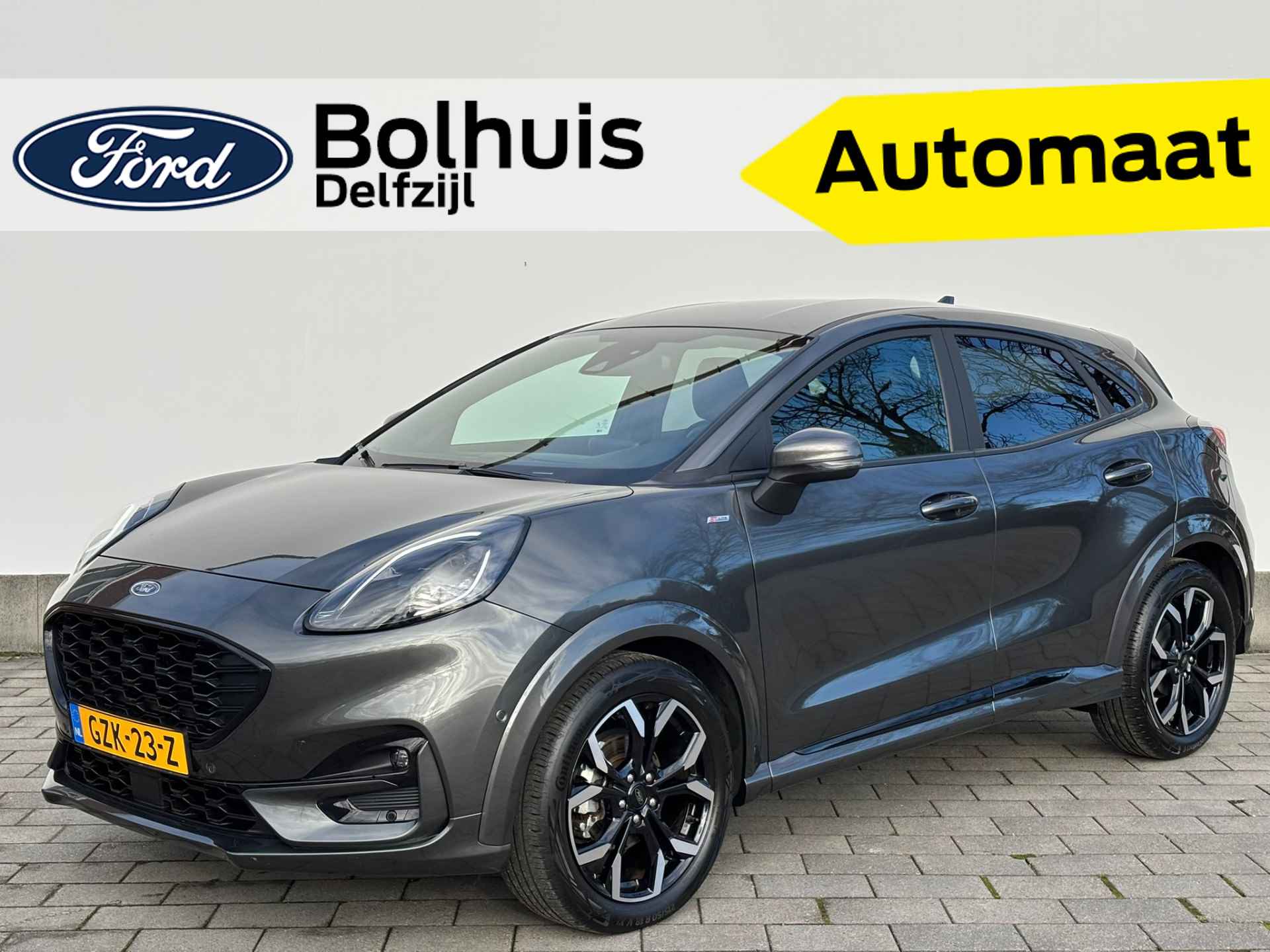 Ford Puma BOVAG 40-Puntencheck