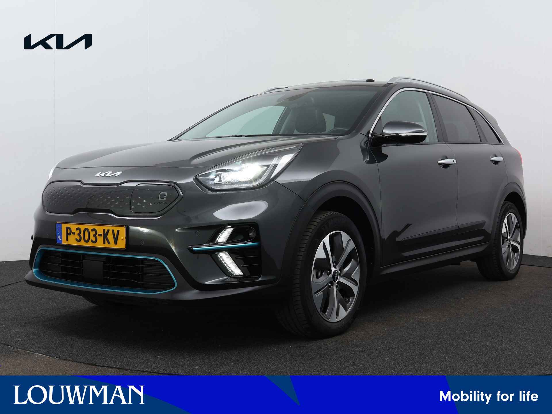 Kia e-Niro BOVAG 40-Puntencheck