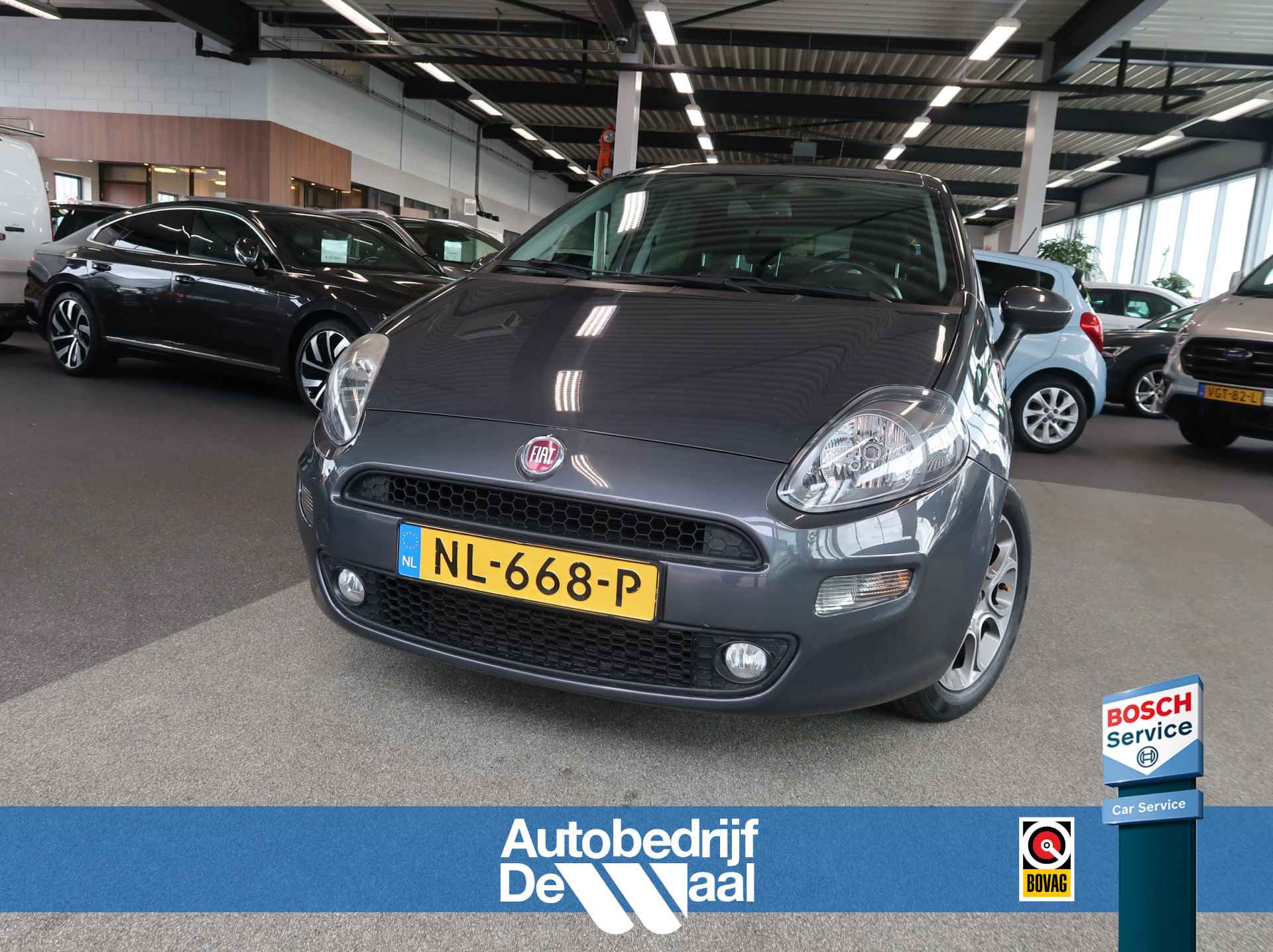 Fiat Punto BOVAG 40-Puntencheck