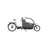 CaGoBike FS200 Life Family-Plus Lage instap Grey 2024