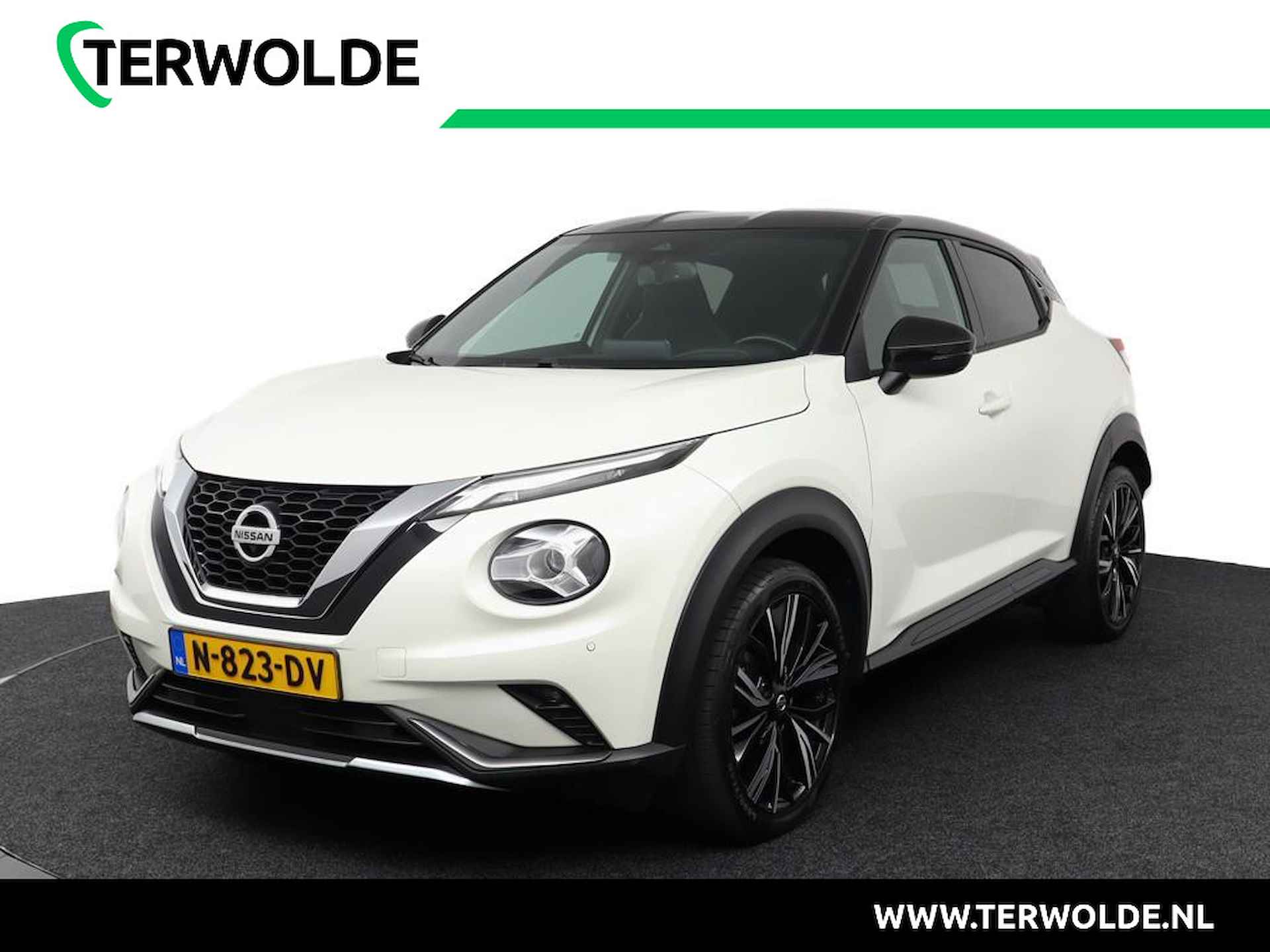 Nissan Juke BOVAG 40-Puntencheck