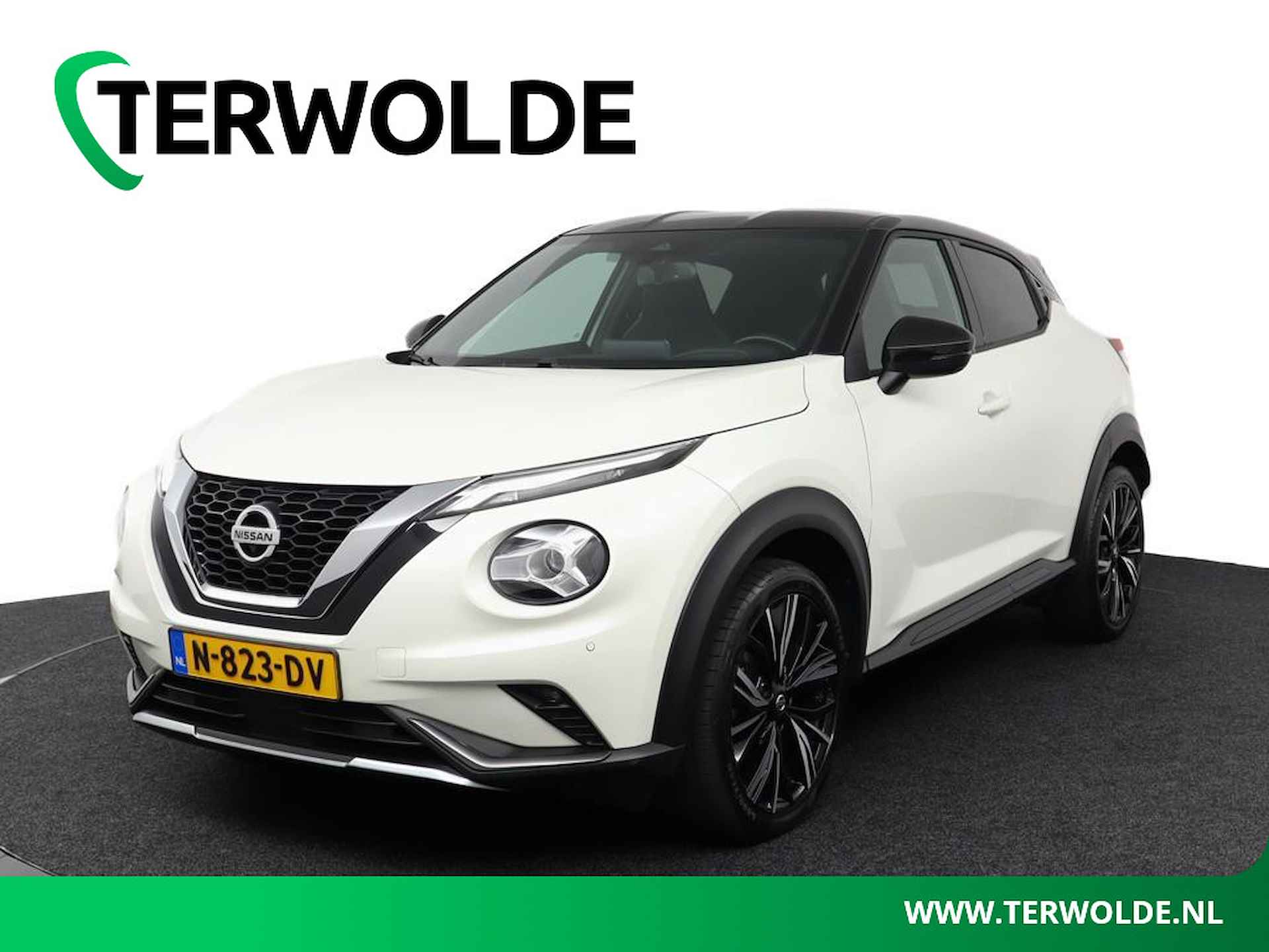 Nissan Juke BOVAG 40-Puntencheck