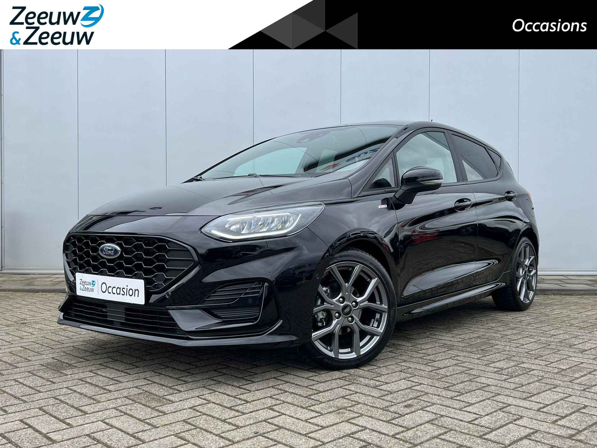 Ford Fiesta BOVAG 40-Puntencheck