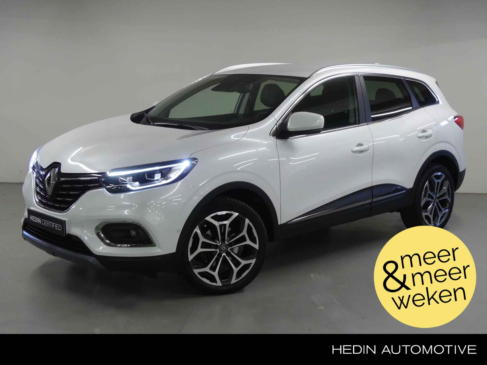 Renault Kadjar BOVAG 40-Puntencheck