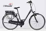 Pegasus Ancura E7f 400Wh. (5035 km) Dames Grey Mat 55cm 2022