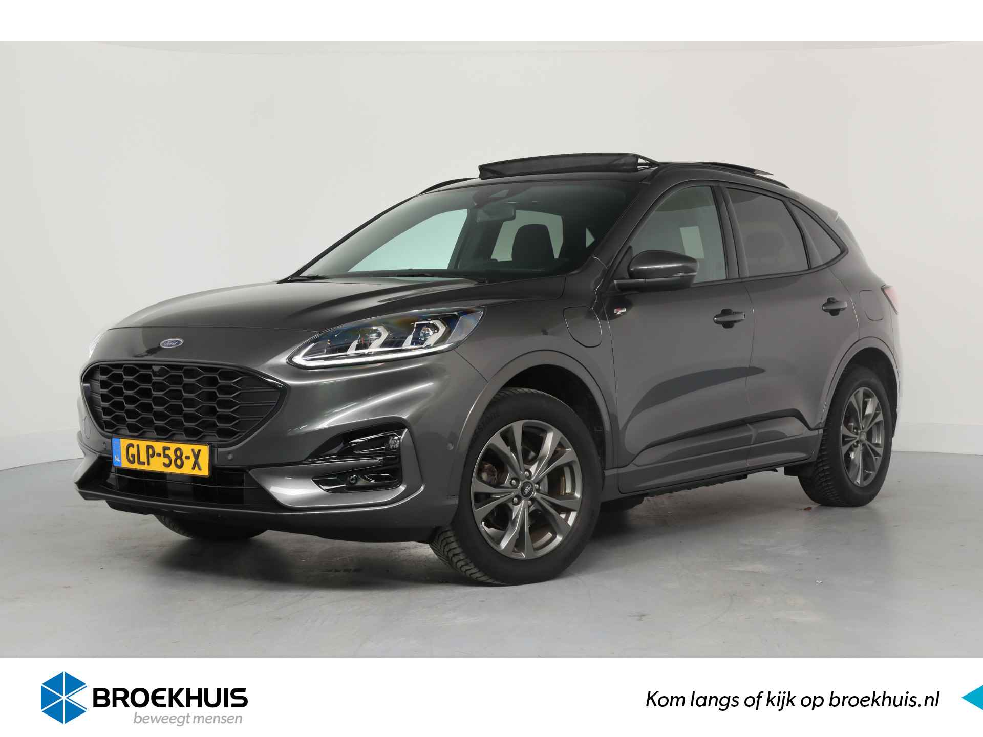 Ford Kuga BOVAG 40-Puntencheck