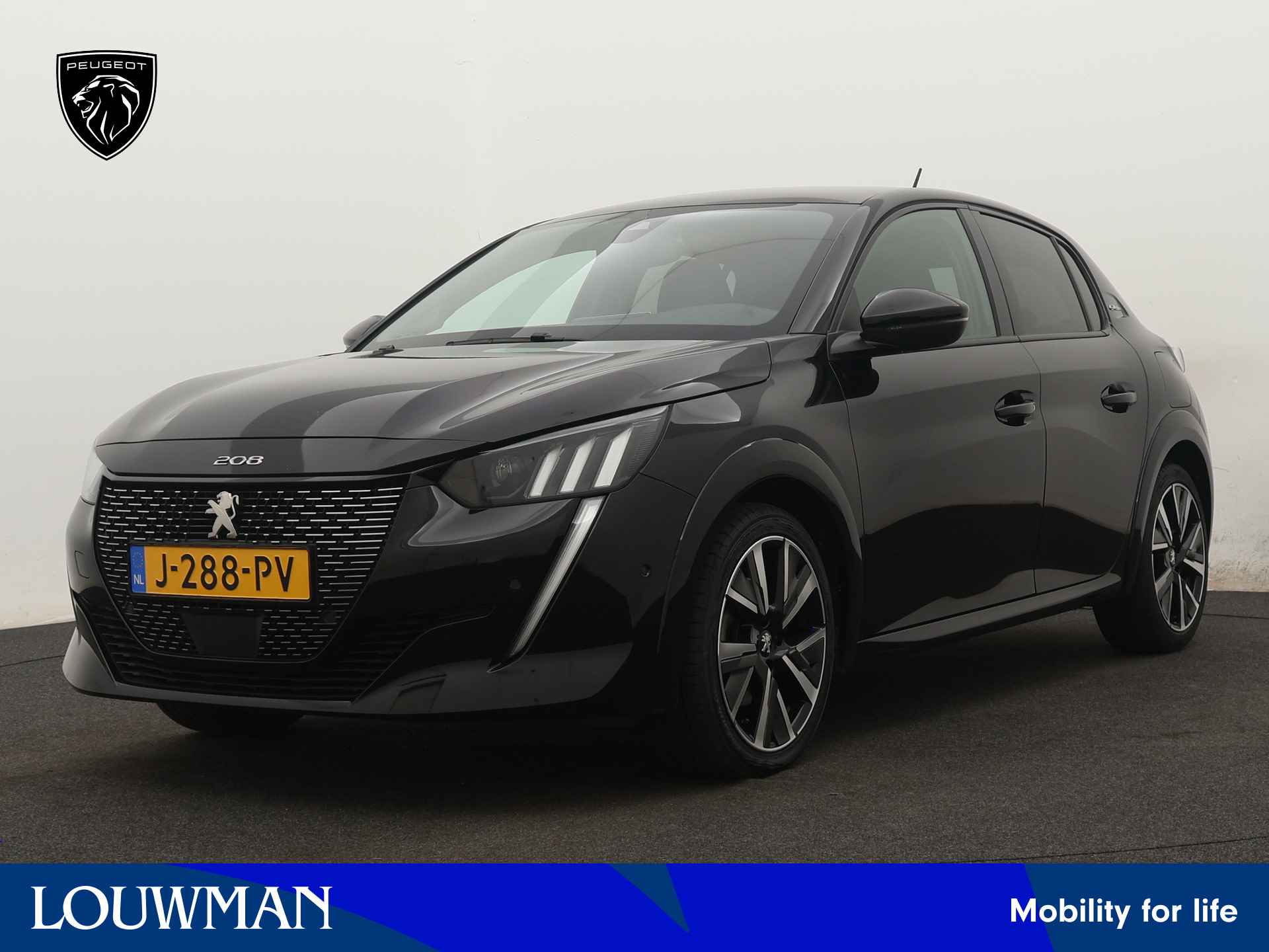 Peugeot 208 BOVAG 40-Puntencheck